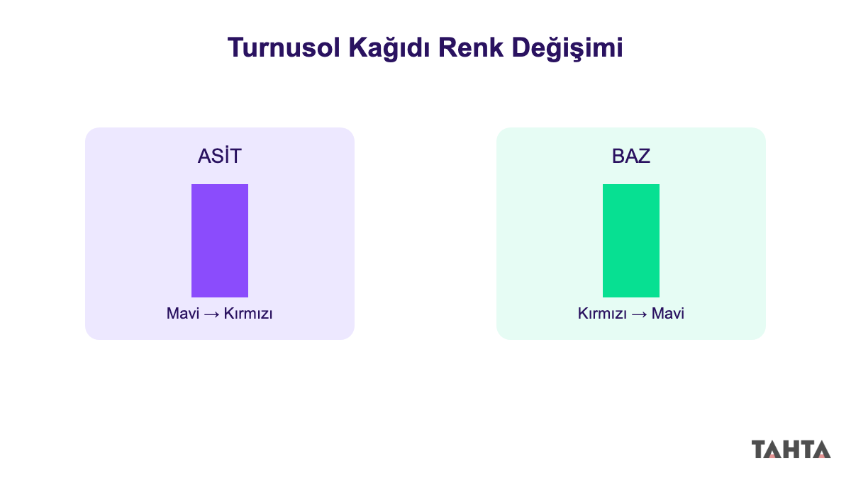 Turnusol kağıdının asitle kırmızıya, bazla maviye dönmesini gösteren şema