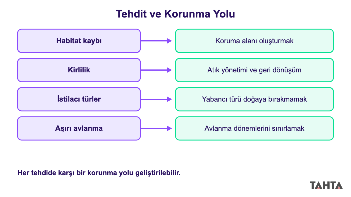 Biyoçeşitliliği tehdit eden dört etmeni ve karşılık gelen korunma yollarını gösteren şema