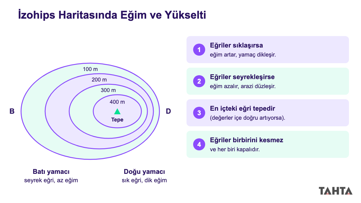 Batı yamacında seyrek, doğu yamacında sık geçen izohipslerle çizilmiş tepe ve dört izohips kuralını gösteren şema