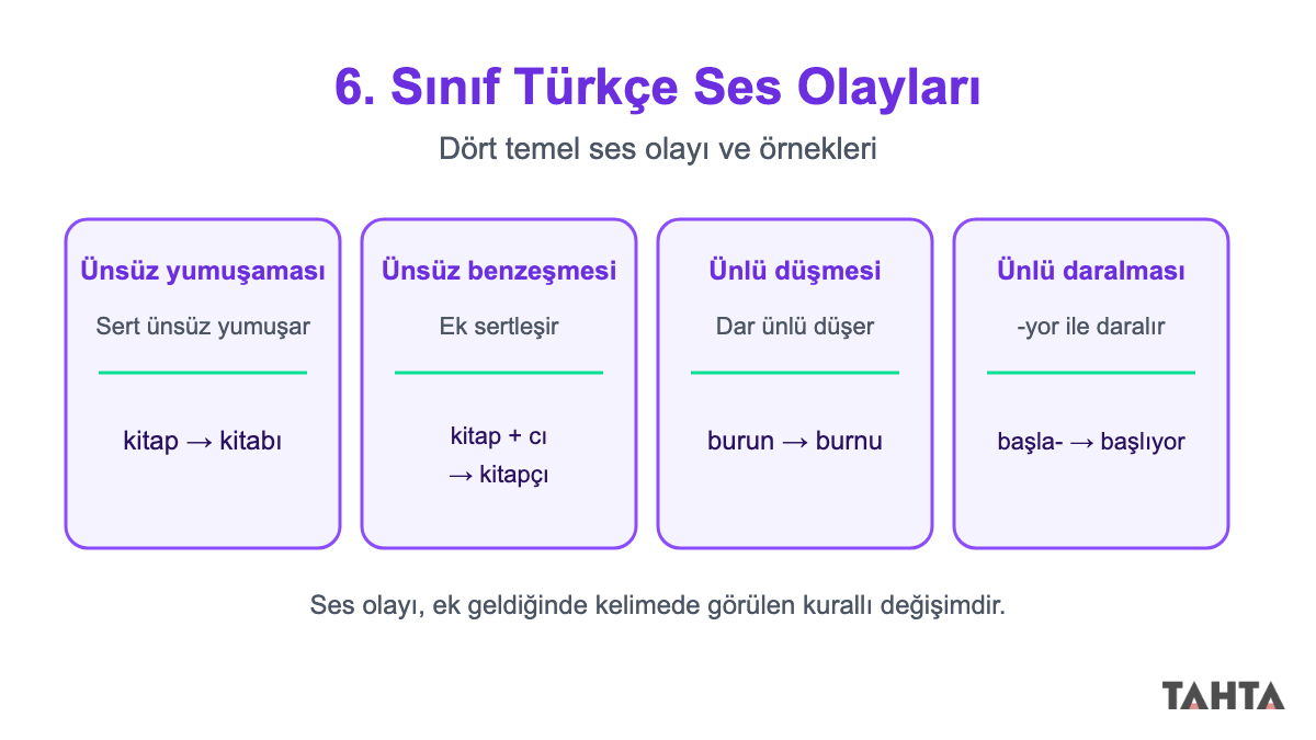 6. sınıf ses olayları özet infografiği
