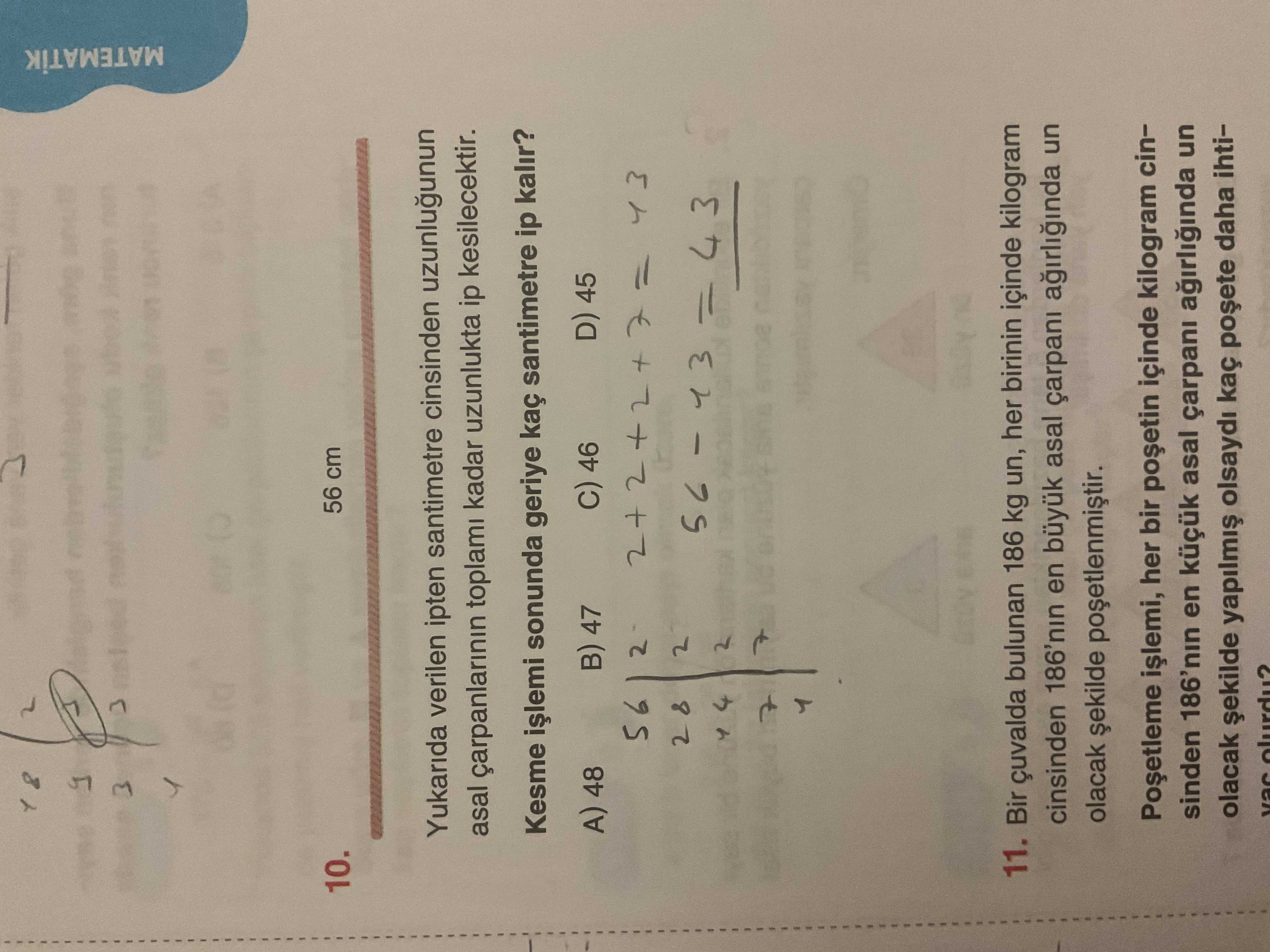 Matematik (8. Sınıf)