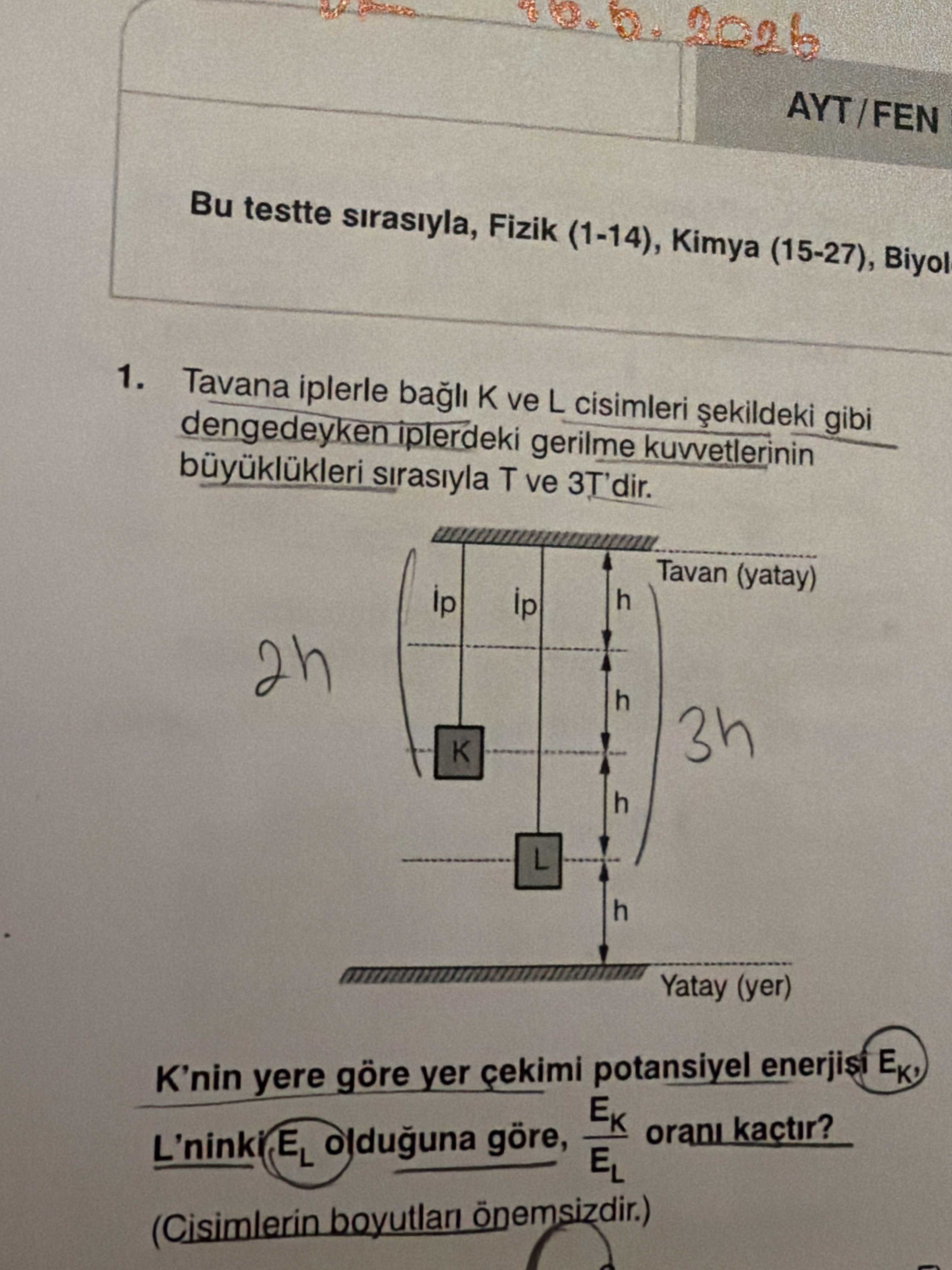 Tavana iplerle bağlı K ve L cisimleri şekildeki gibi dengedeyken iplerdeki gerilme kuvvetlerinin