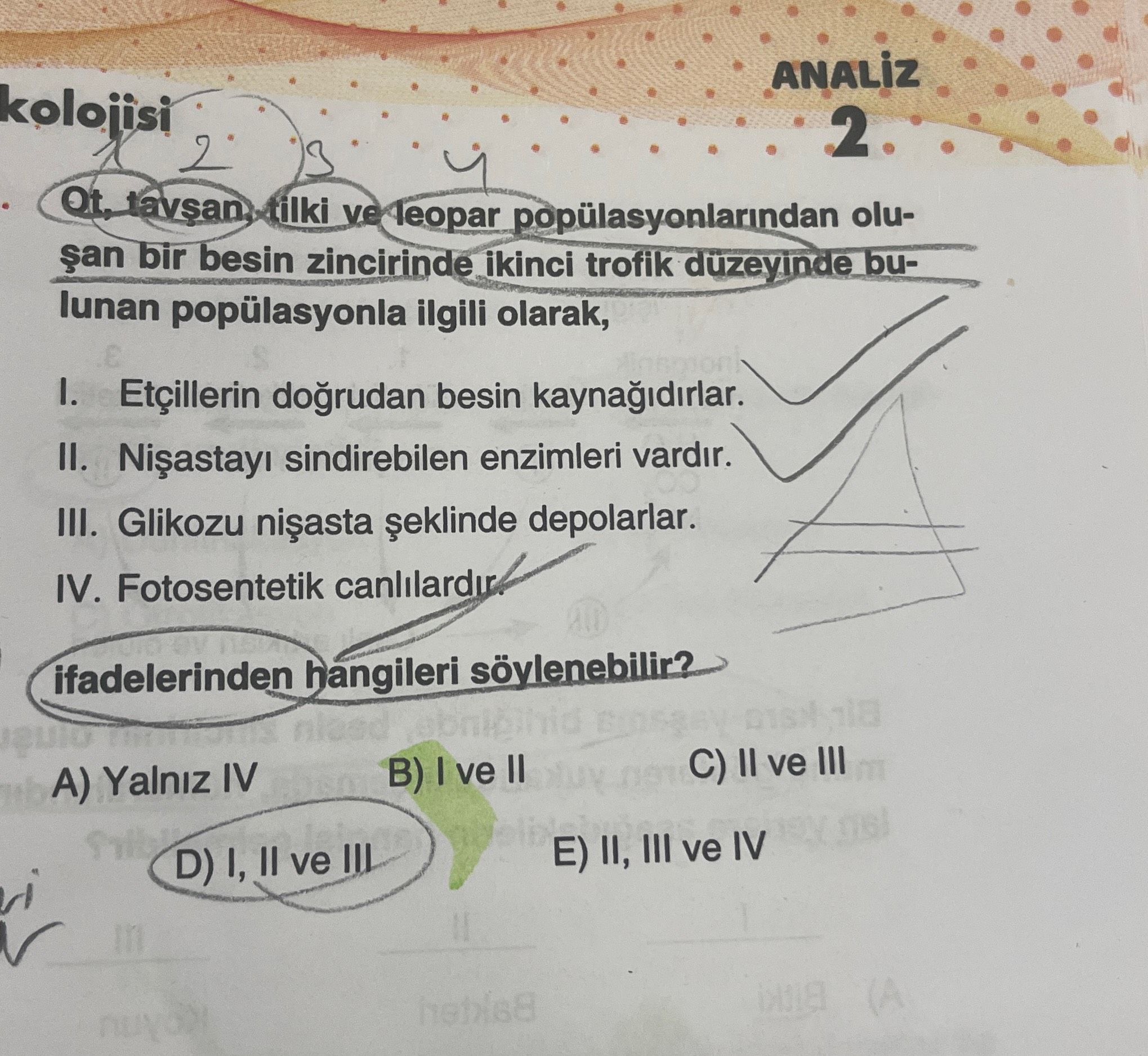 Ot, tavşan, tilki ve leopar popülasyonlarından oluşan bir besin zincirinde ikinci trofik düzeyinde