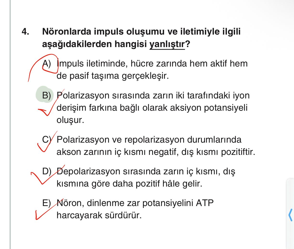Nöronlarda impuls oluşumu ve iletimiyle ilgili aşağıdakilerden hangisi yanlıştır?