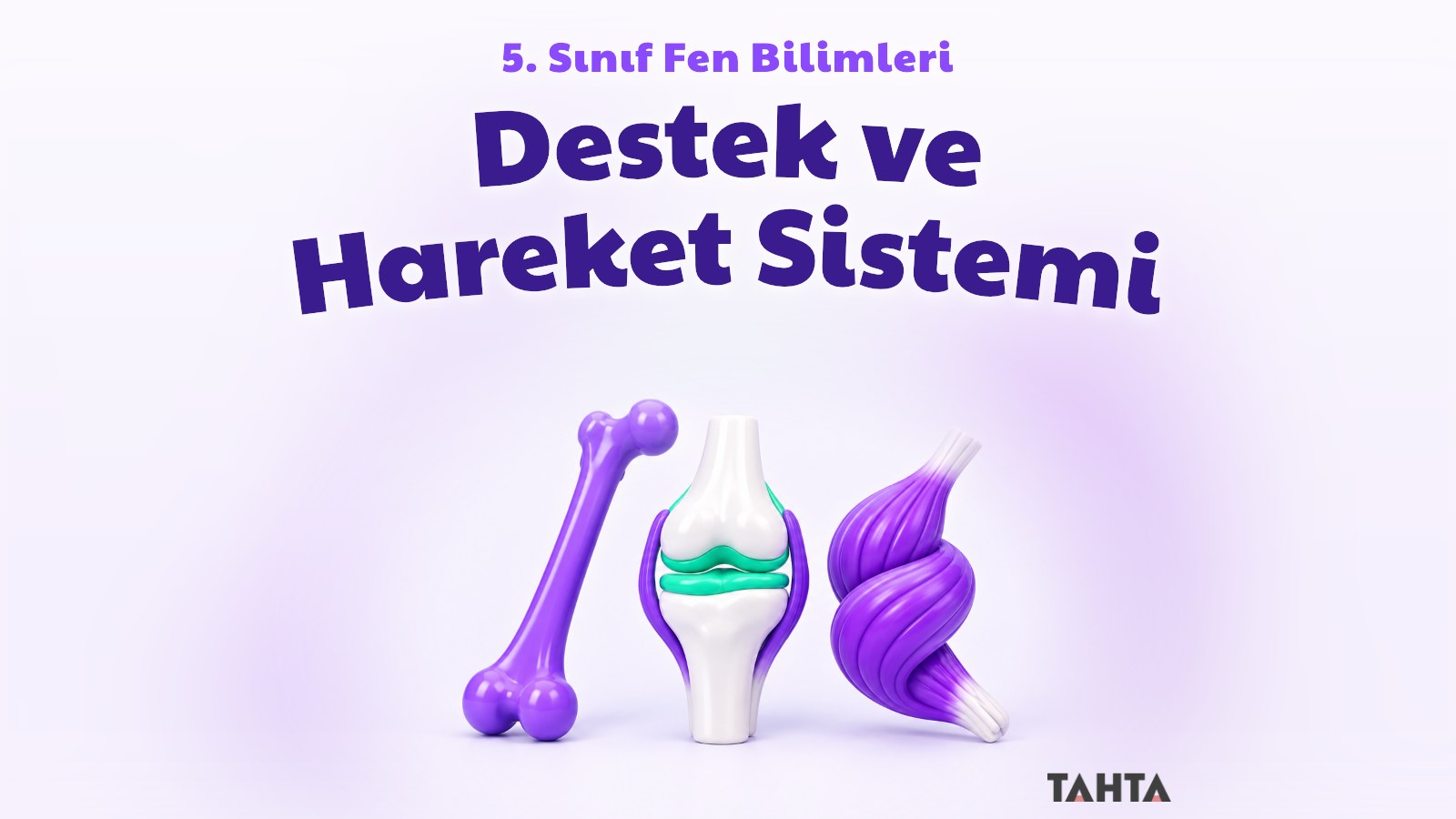 Destek ve hareket sistemini simgeleyen parlak 3B kemik, eklem ve kas figürü