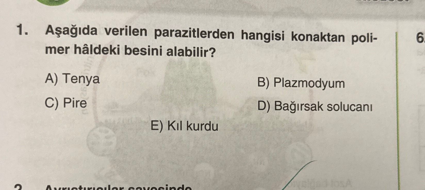 Aşağıda verilen parazitlerden hangisi konaktan polimer hâldeki besini alabilir?
