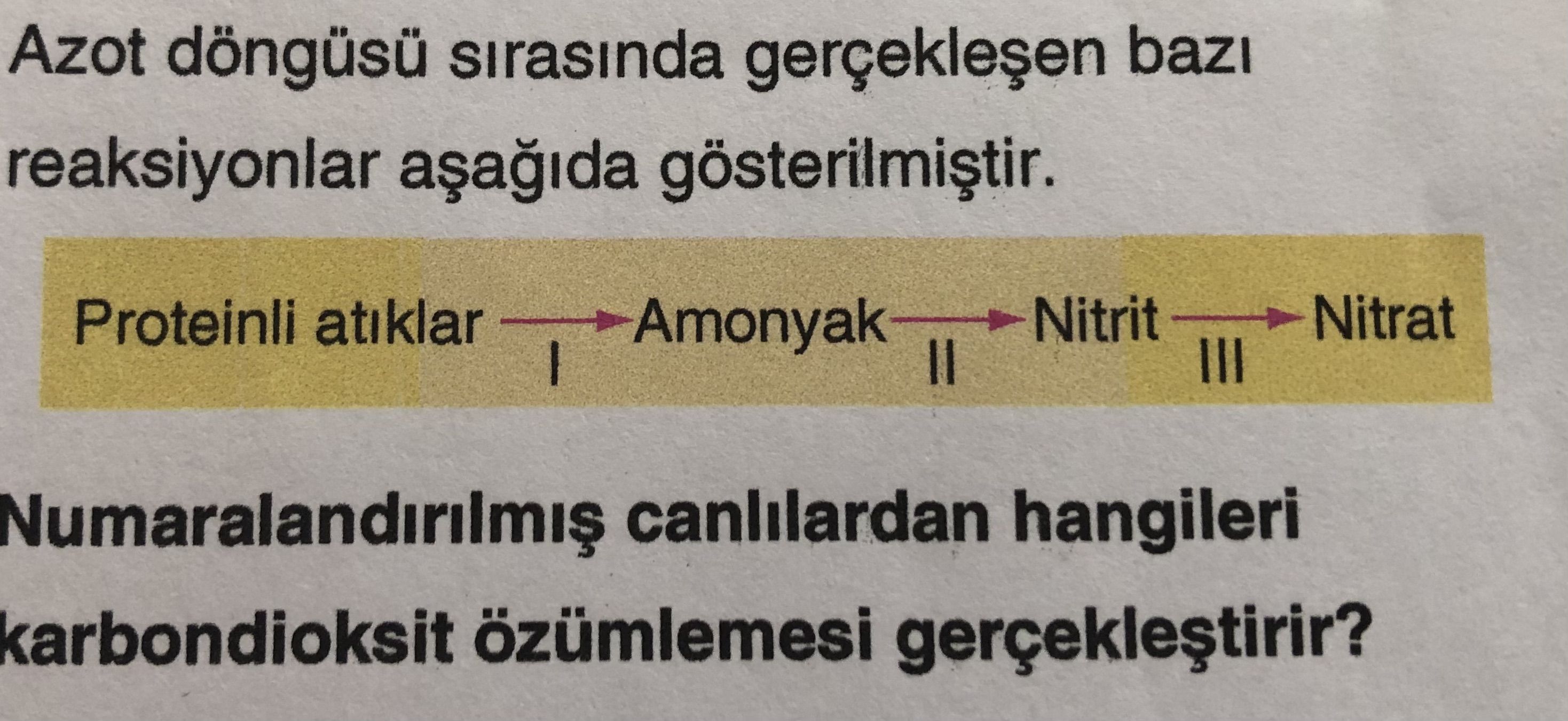 Azot döngüsü sırasında gerçekleşen bazı reaksiyonlar aşağıda gösterilmiştir. Numaralandırılmış