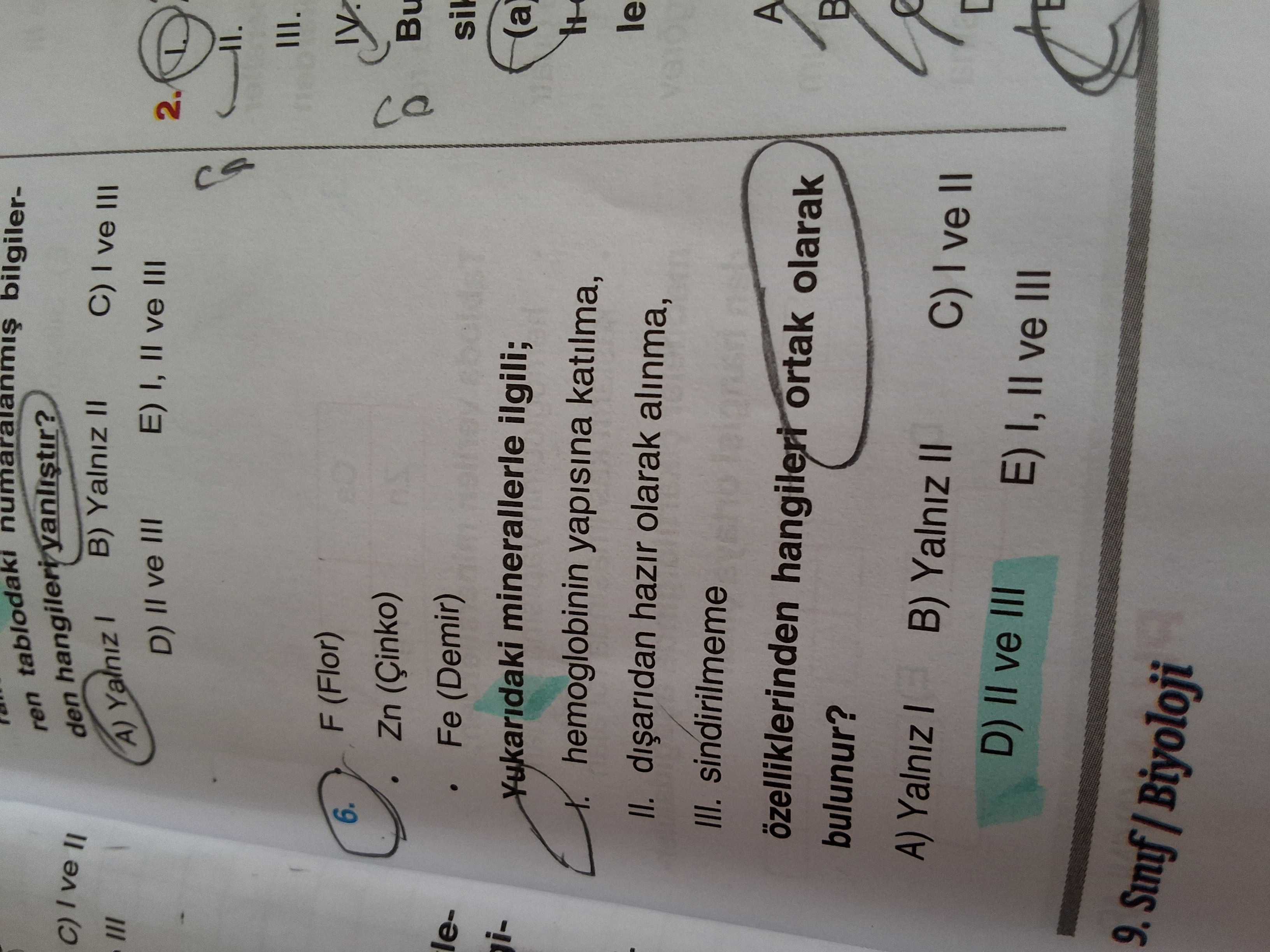 Coğrafya (12. Sınıf)
