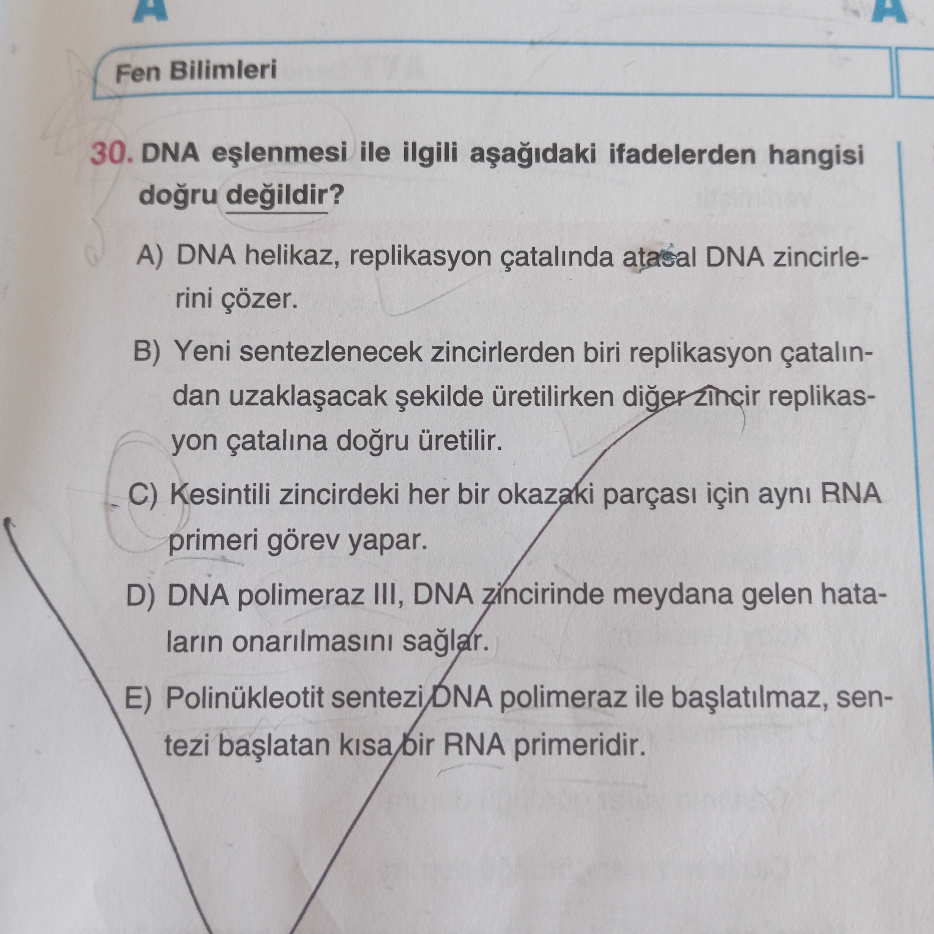 DNA eşlenmesi ile ilgili aşağıdaki ifadelerden hangisi doğru değildir?