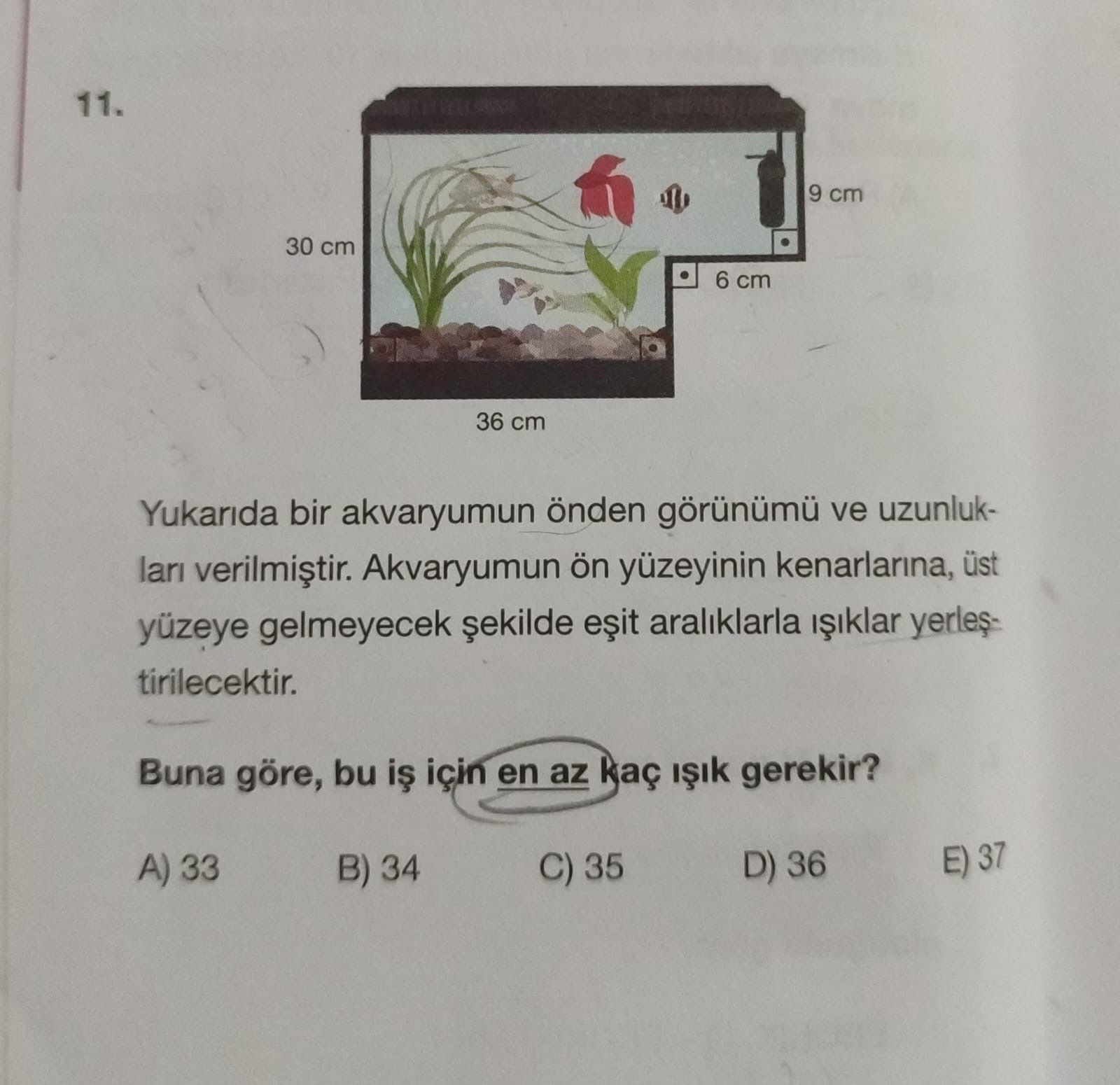 Matematik (12. Sınıf)