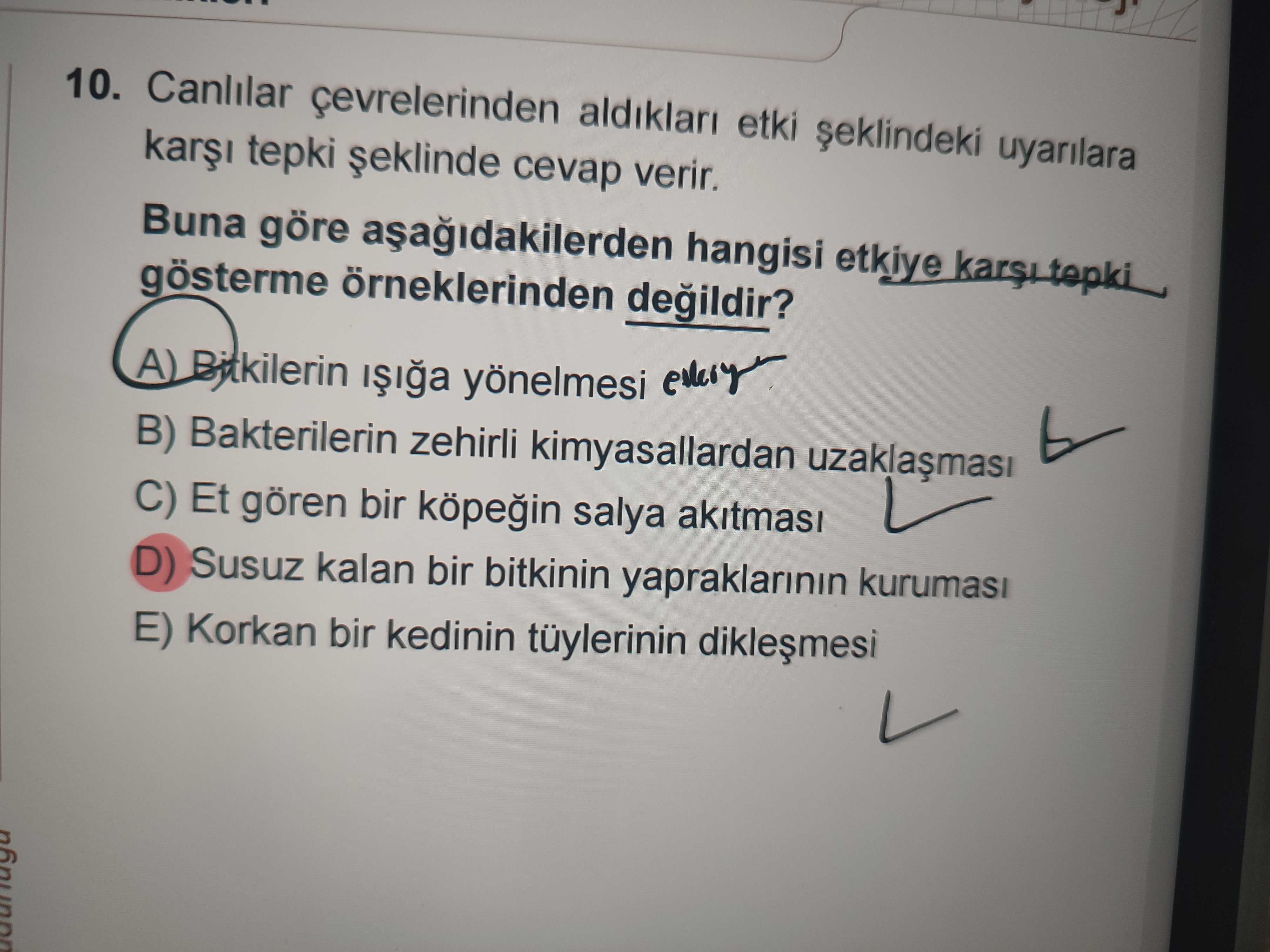 10. Canlilar aldiklari etki kar tepki cevap verir. Buna göre hangisi etkiye gösterme örneklerinden yönelmesi every B) Bakterilerin zehirli kimyasallardan C) Et gören bir salya D) Susuz kalan bir bitkinin yapraklarinin E) Korkan bir kedinin tüylerinin 10. Buna göre hangisi etkiye gösterme örneklerinden yönelmesi every B) Bakterilerin zehirli kimyasallardan C) Et gören bir salya D) Susuz kalan bir bitkinin yapraklarinin E) Korkan bir kedinin tüylerinin. ?? Model.Question.title