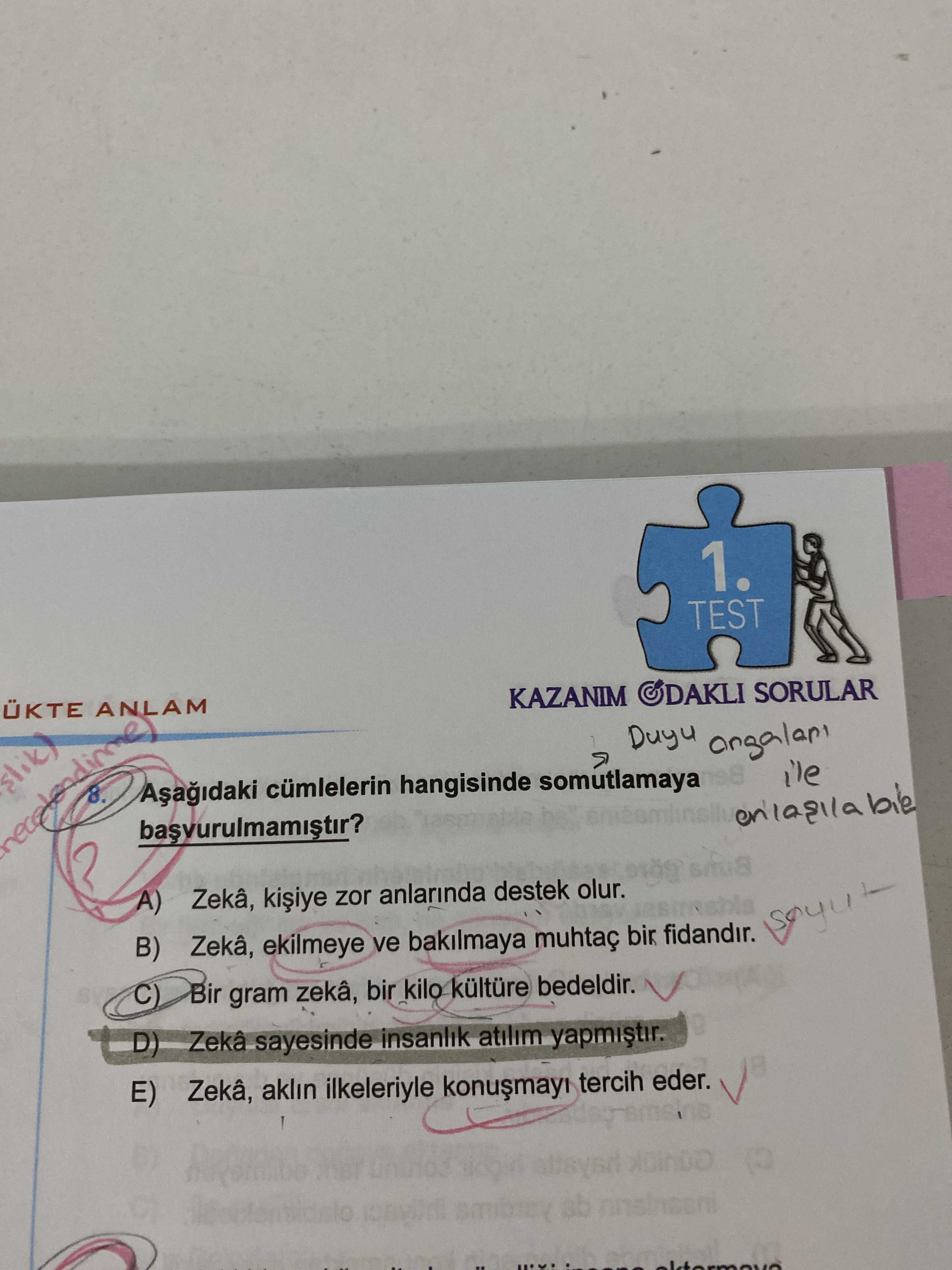 Türkçe (12. Sınıf)