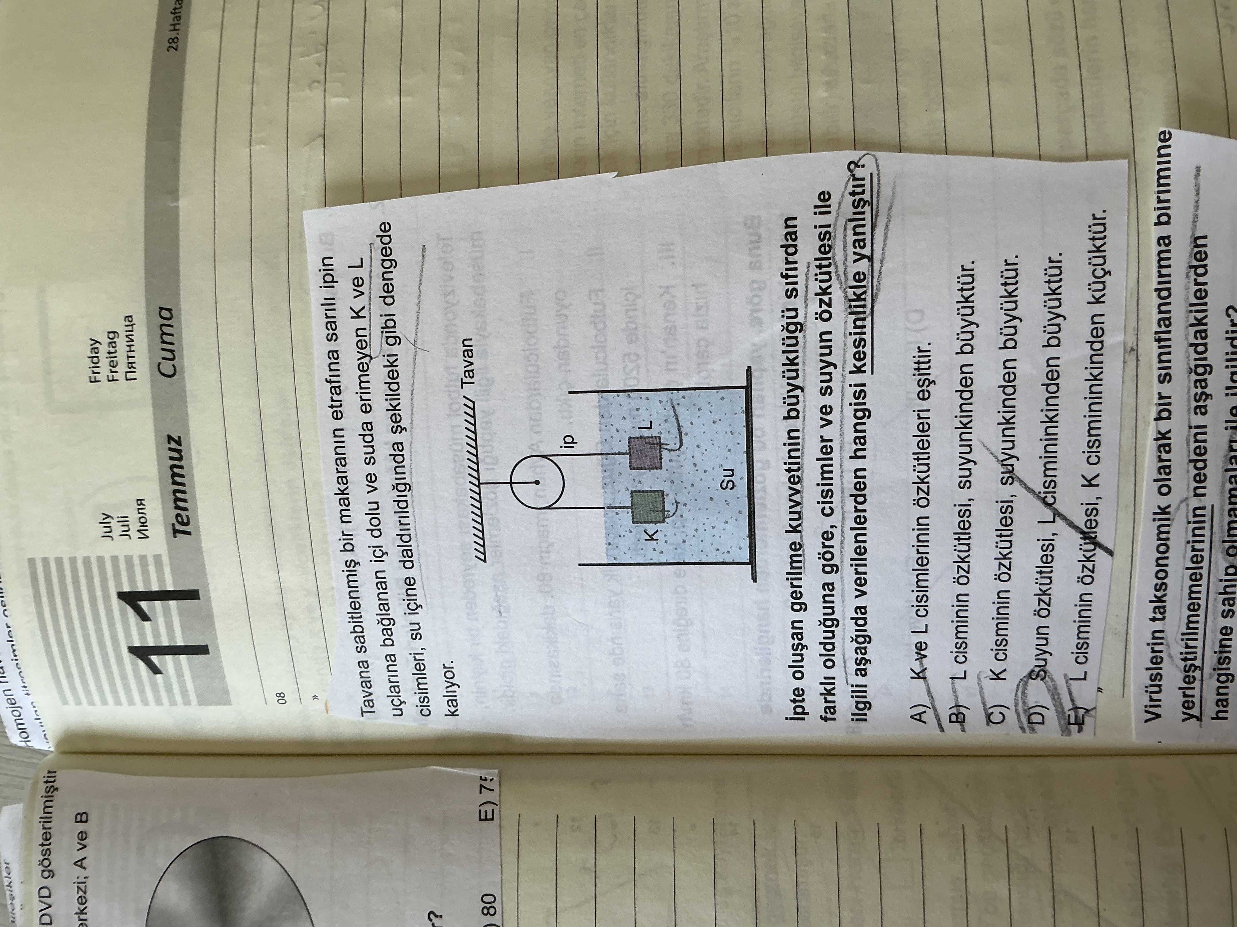Fizik (11. Sınıf)