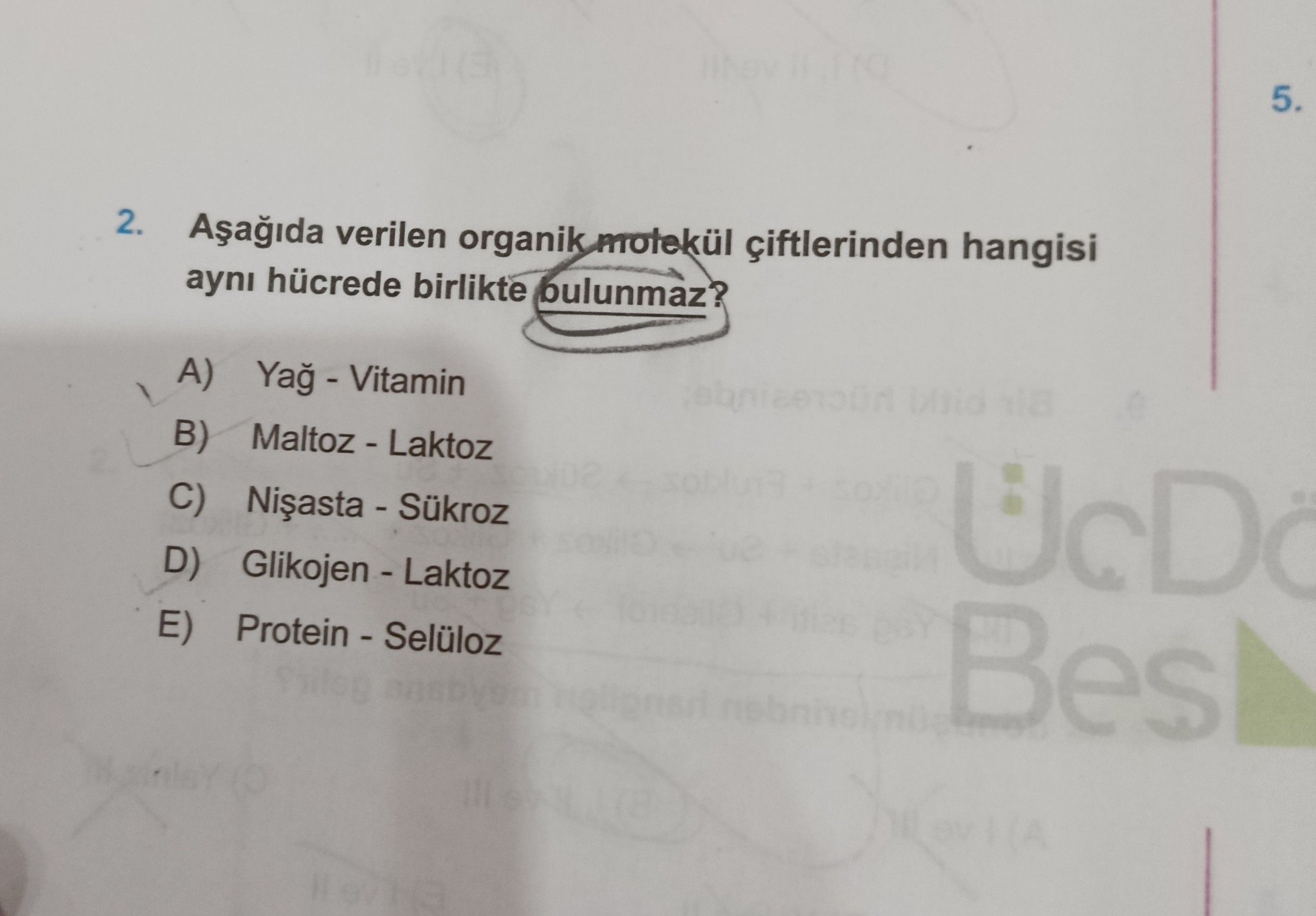 Aşağıda verilen organik molekül çiftlerinden hangisi aynı hücrede birlikte bulunmaz?