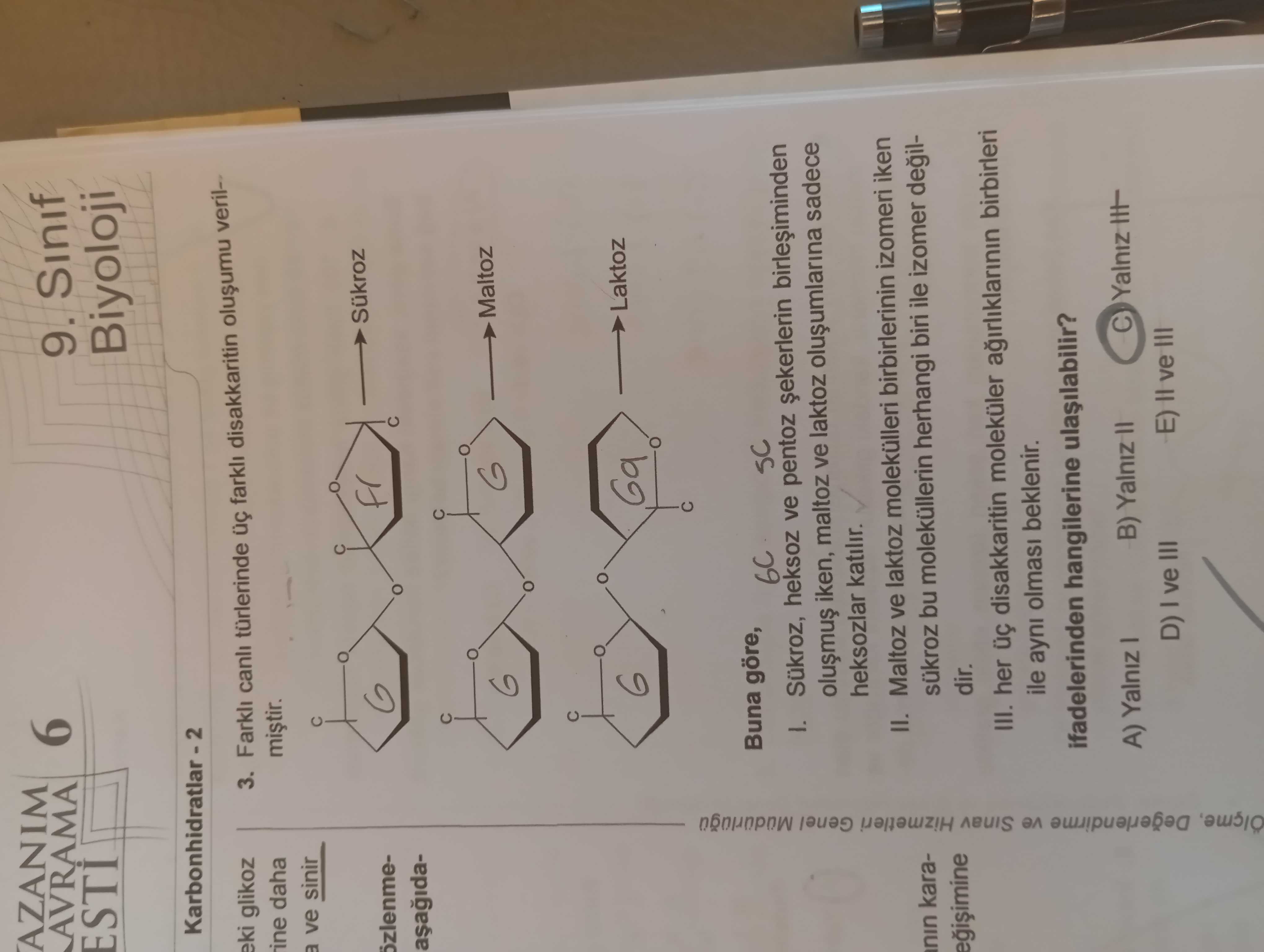Biyoloji (11. Sınıf)