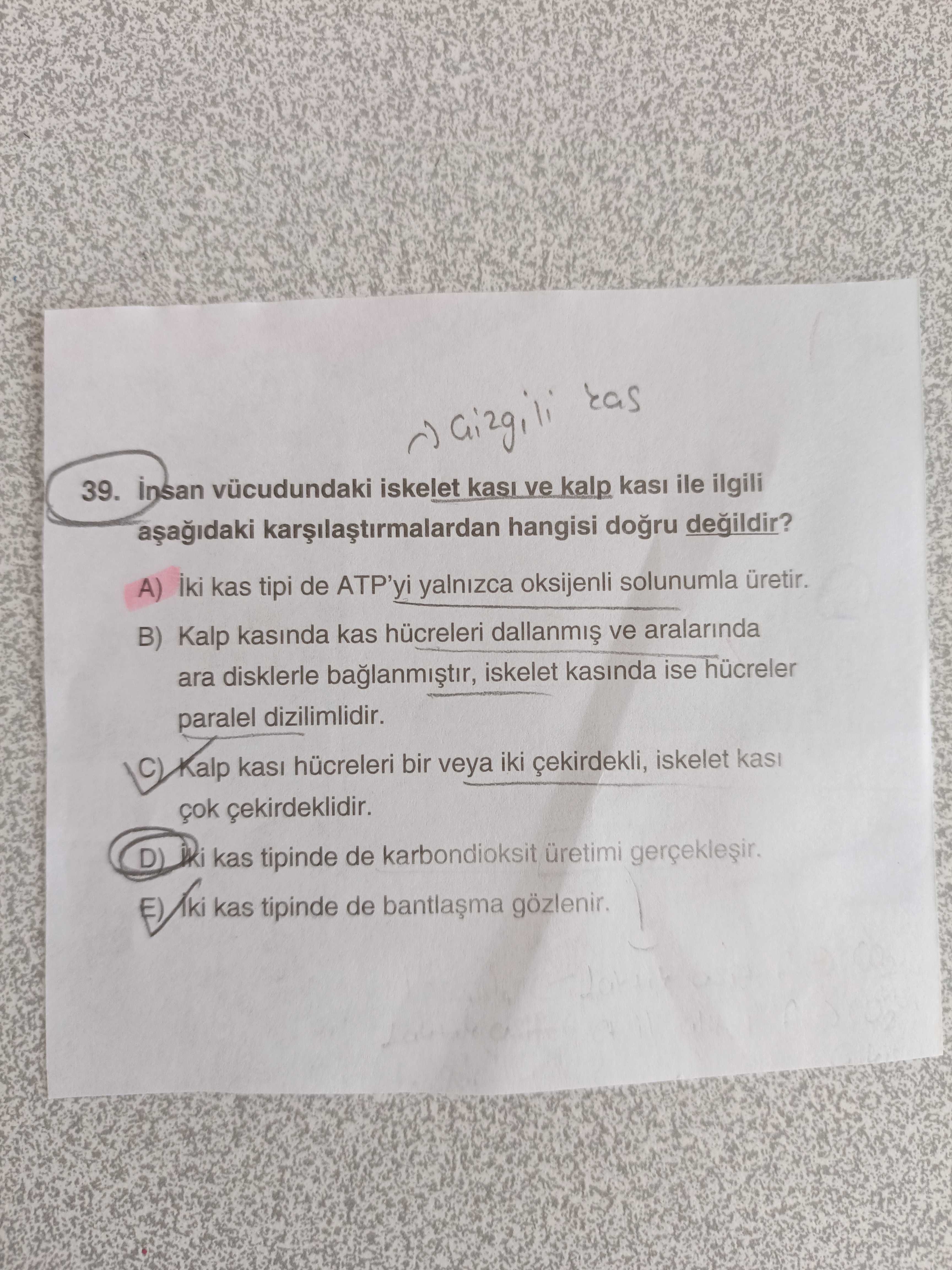 İnsan vücudundaki iskelet kası ve kalp kası ile ilgili aşağıdaki karşılaştırmalardan hangisi doğru
