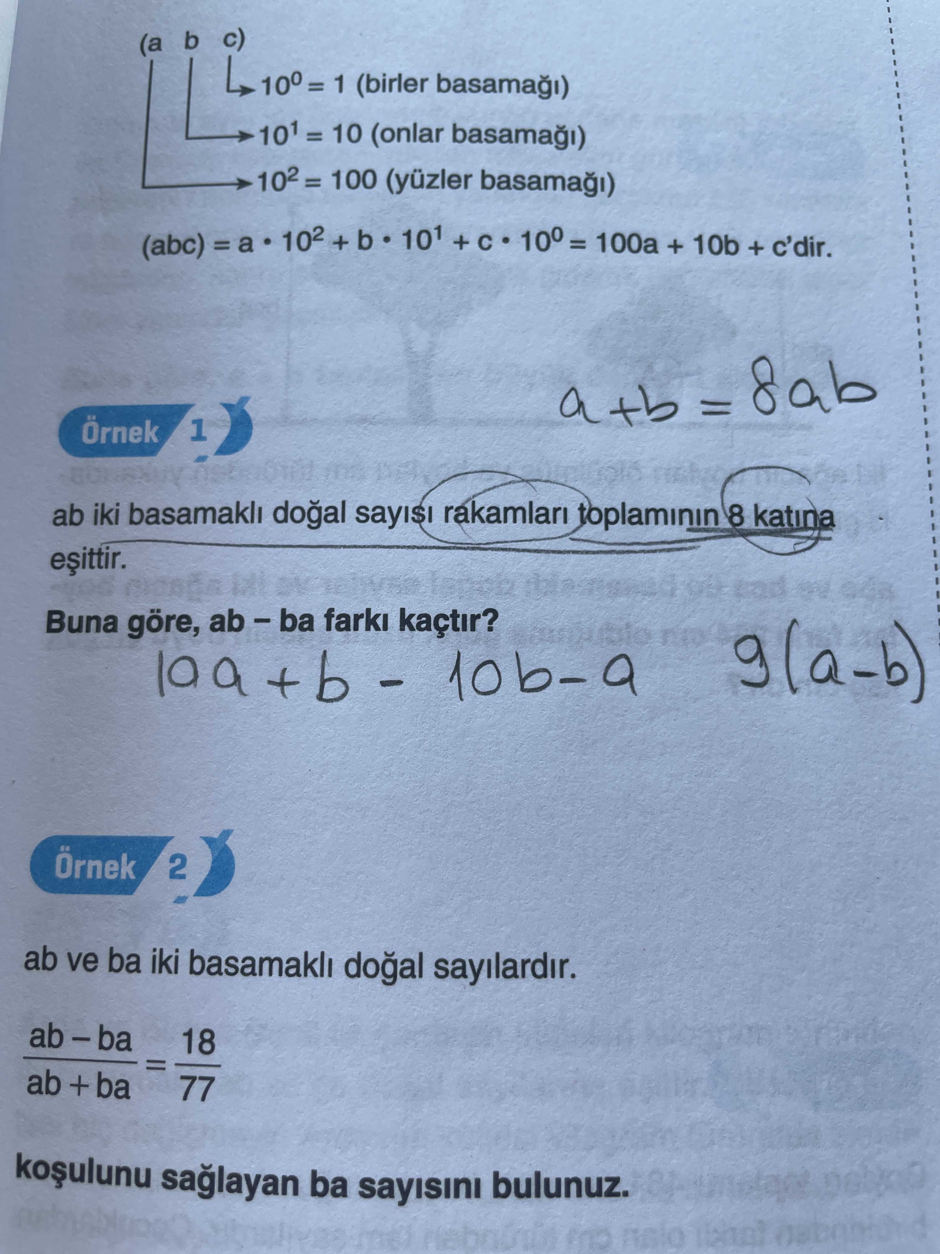 Matematik (12. Sınıf)