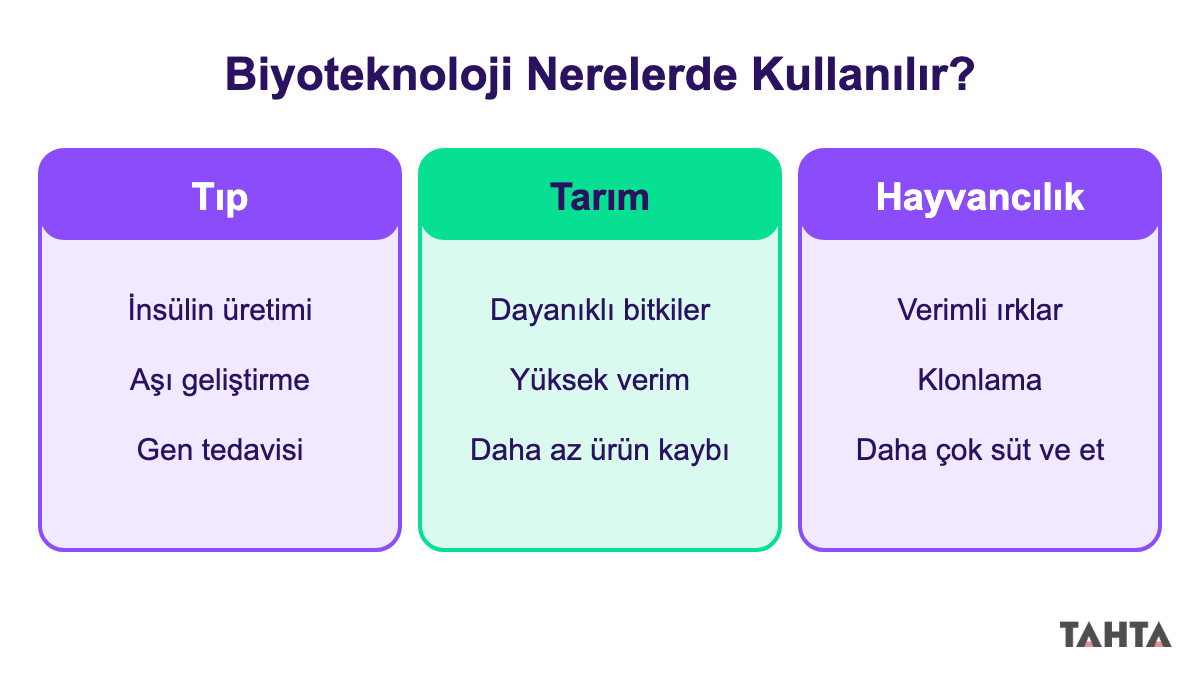 Biyoteknolojinin tıp, tarım ve hayvancılıktaki kullanım örneklerini üç panelde gösteren şema