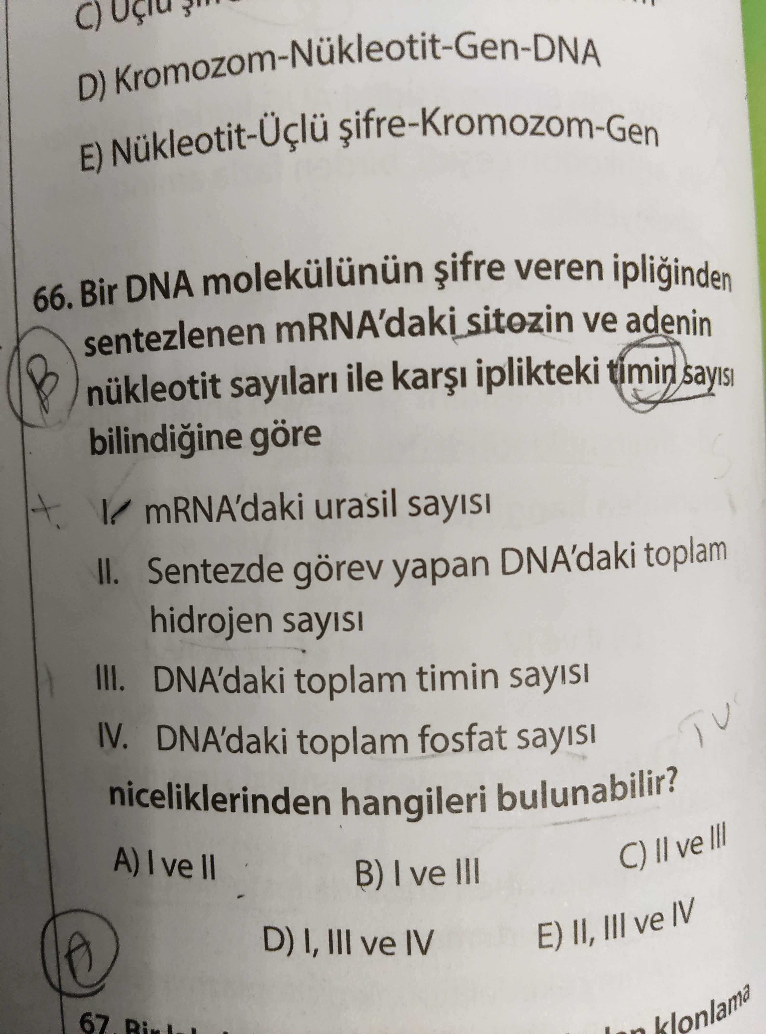 Bir DNA molekülünün şifre veren ipliğinden sentezlenen mRNA'daki sitozin ve adenin nükleotit