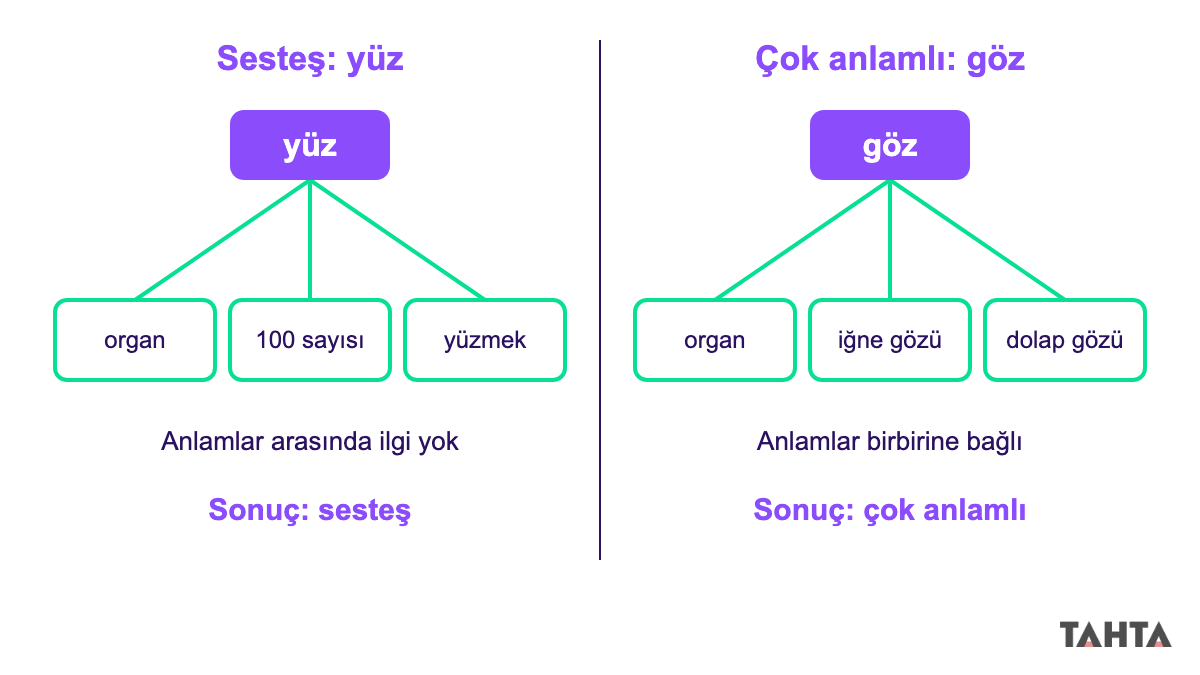 Sesteş yüz sözcüğü ile çok anlamlı göz sözcüğünün anlamlarını dallar hâlinde karşılaştıran şema