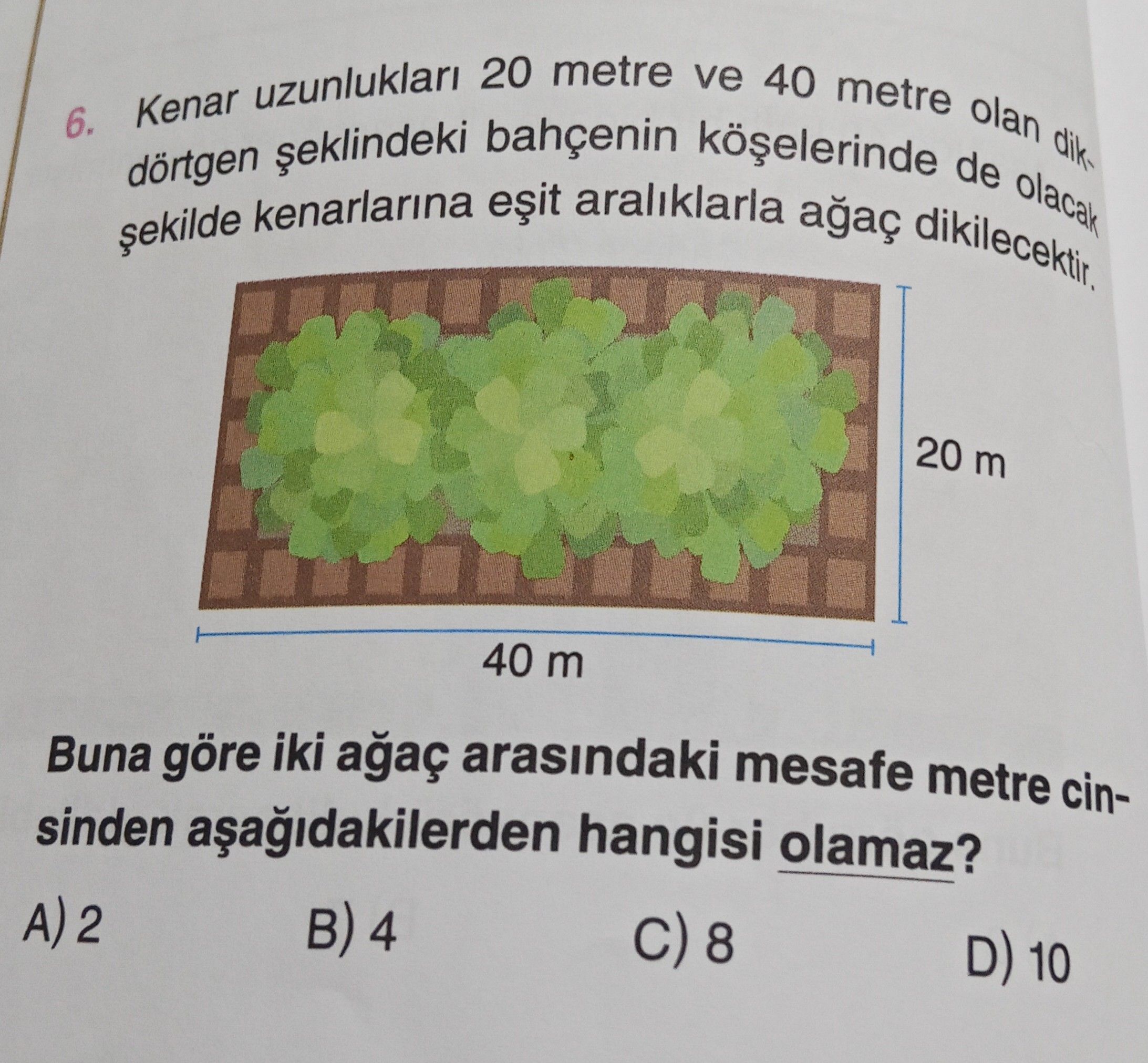 Kenar uzunlukları 20 metre ve 40 metre olan dikdörtgen şeklindeki bahçenin köşelerinde de olacak