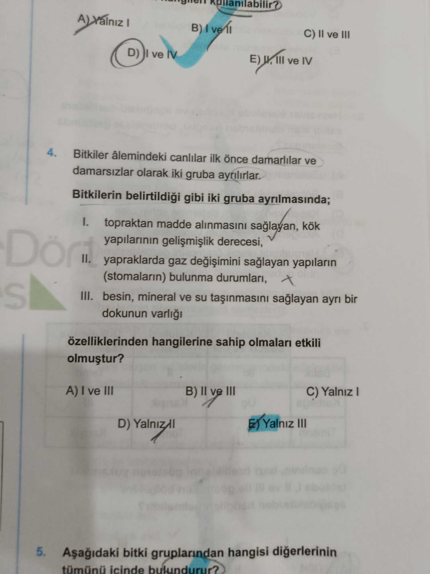 Bitkiler âlemindeki canlılar ilk önce damarlılar ve damarsızlar olarak iki gruba ayrılırlar
