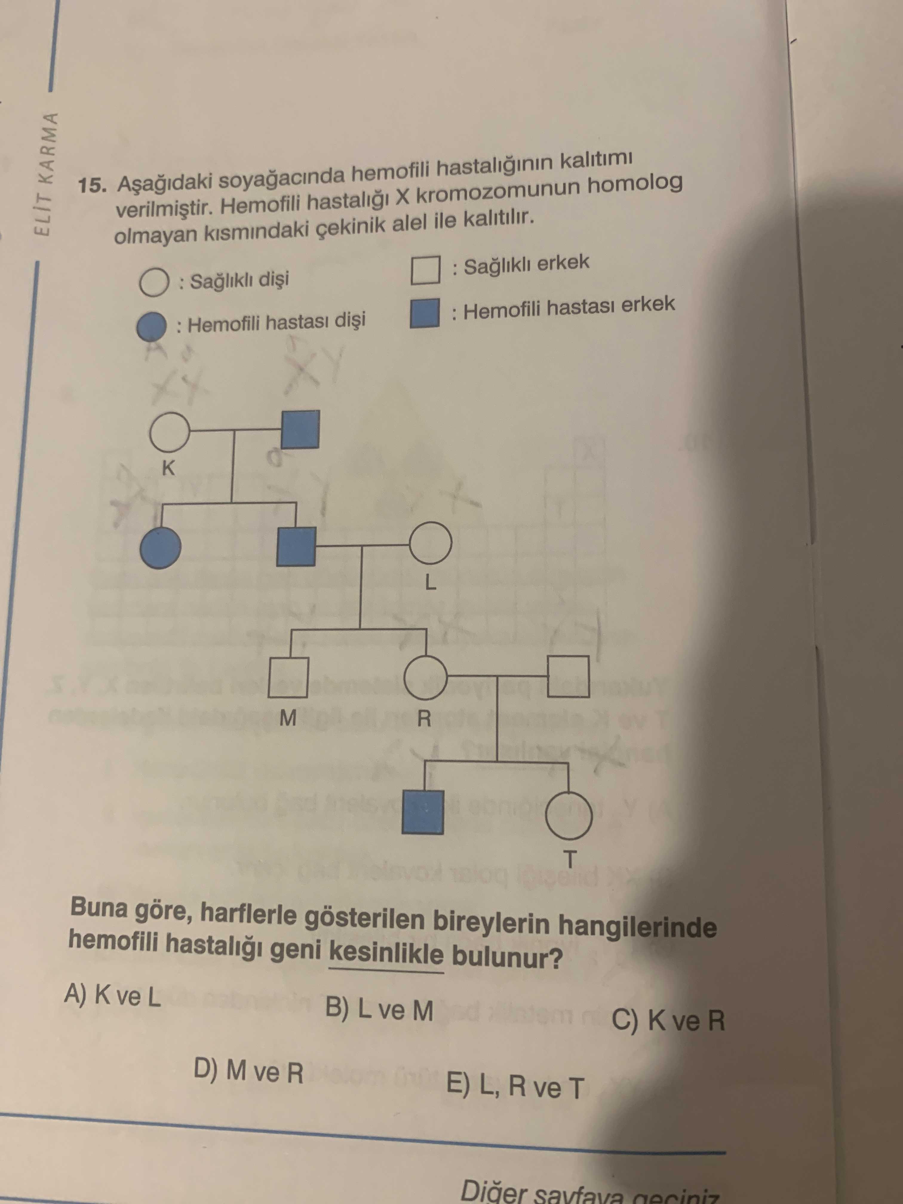 Aşağıdaki soyağacında hemofili hastalığının kalıtımı verilmiştir. Hemofili hastalığı X kromozomunun