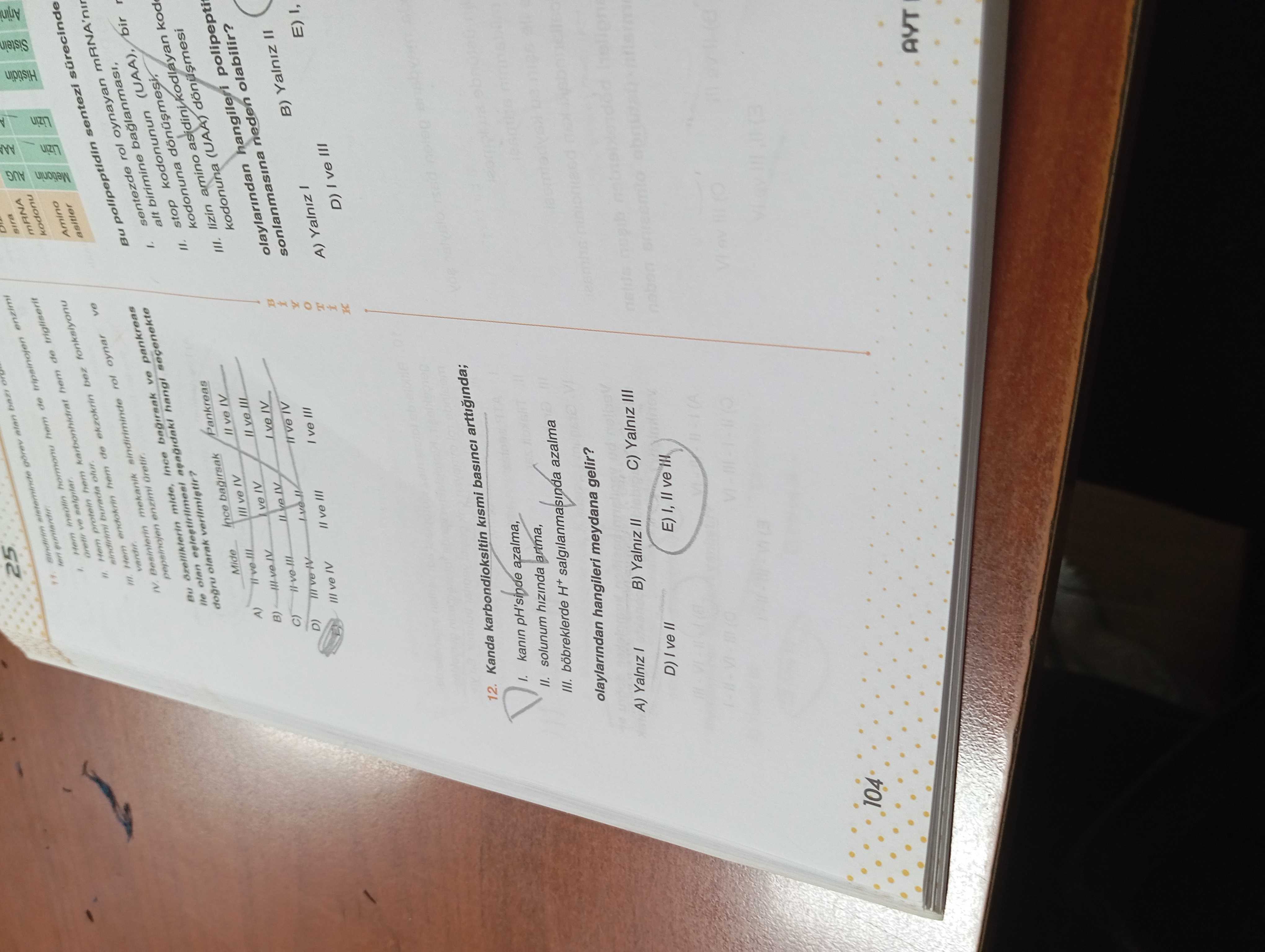 Kanda karboooksihemoglobin kismi basıncı arttığında; I. kanın pH'sinde azalma, II. solunum hızında