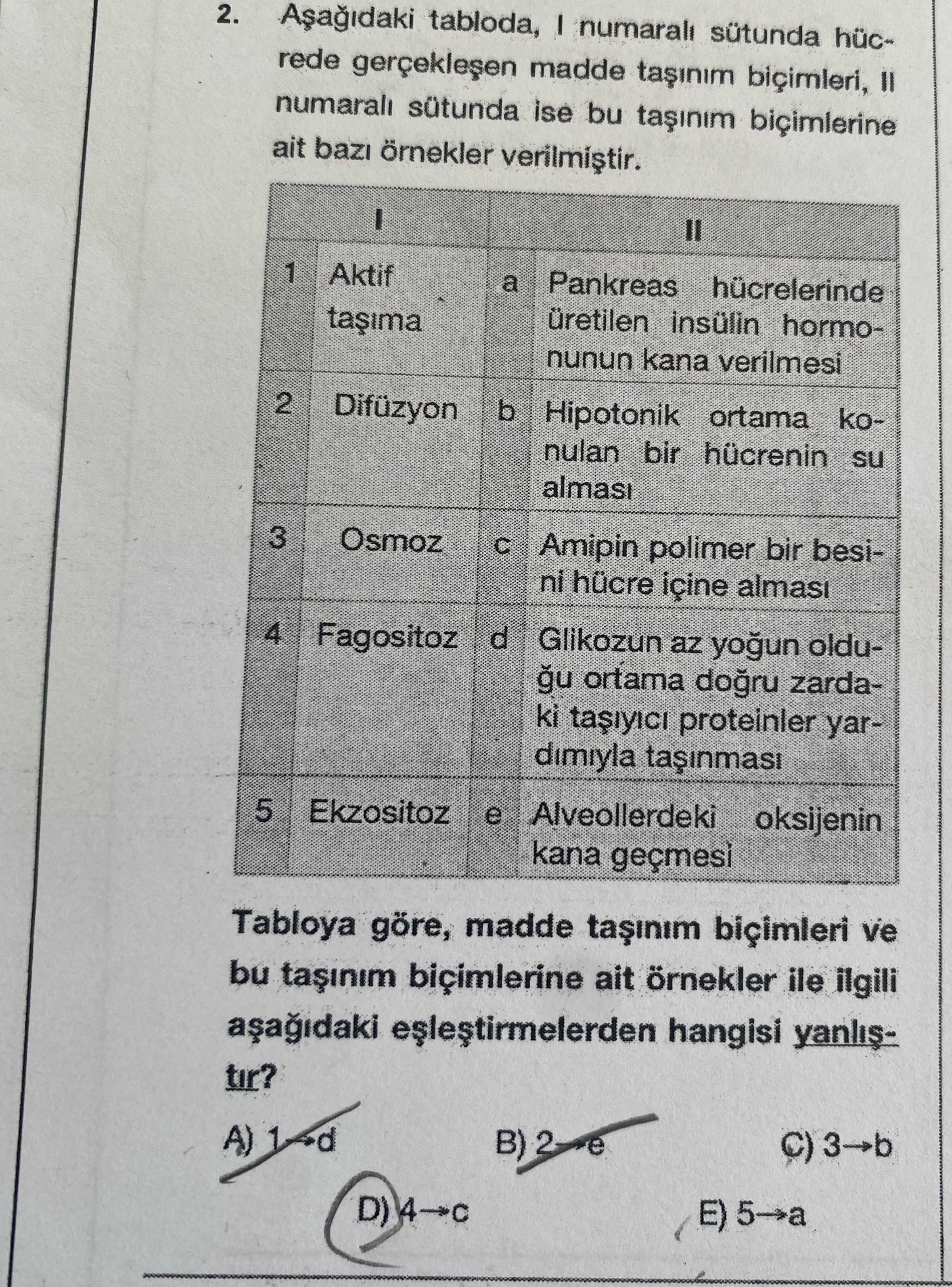 Biyoloji (12. Sınıf)