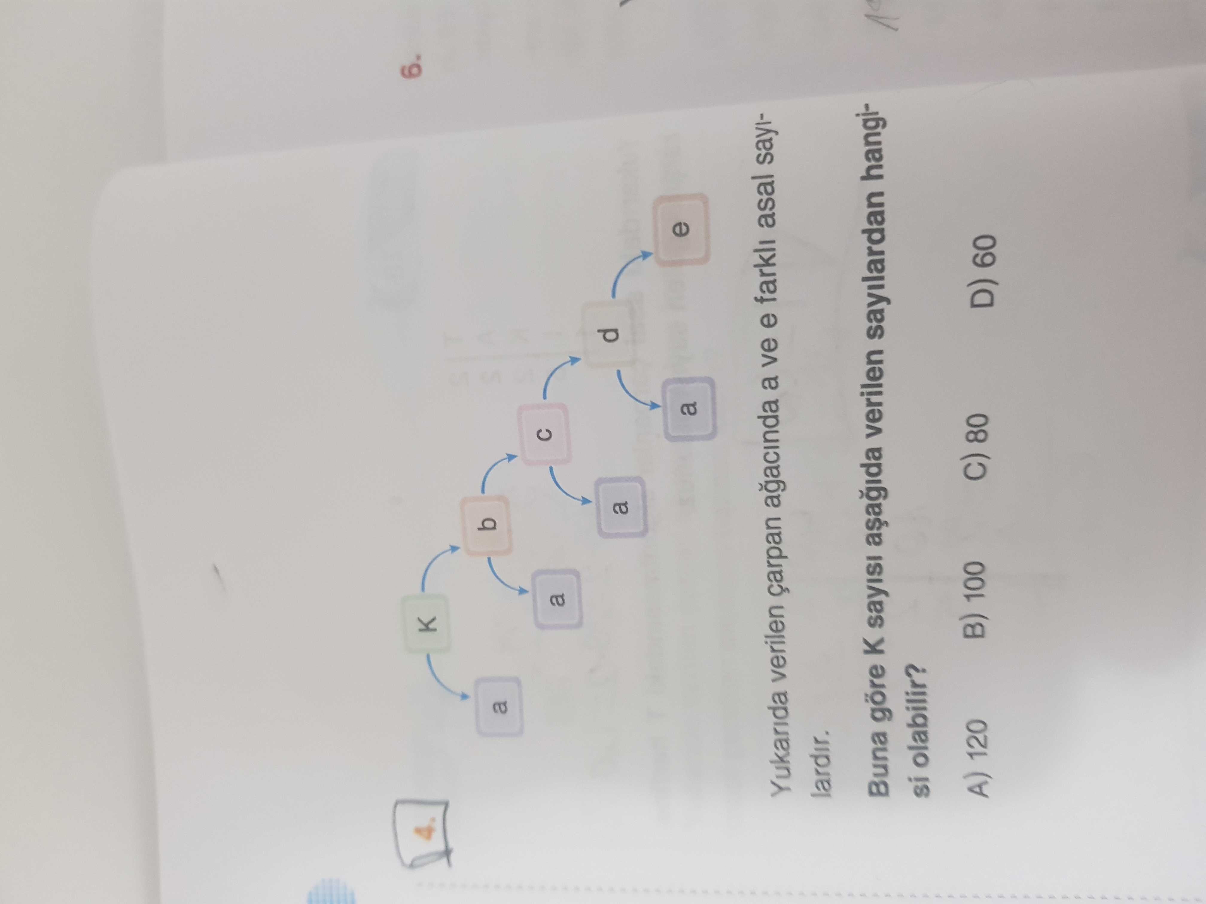 Matematik (8. Sınıf)