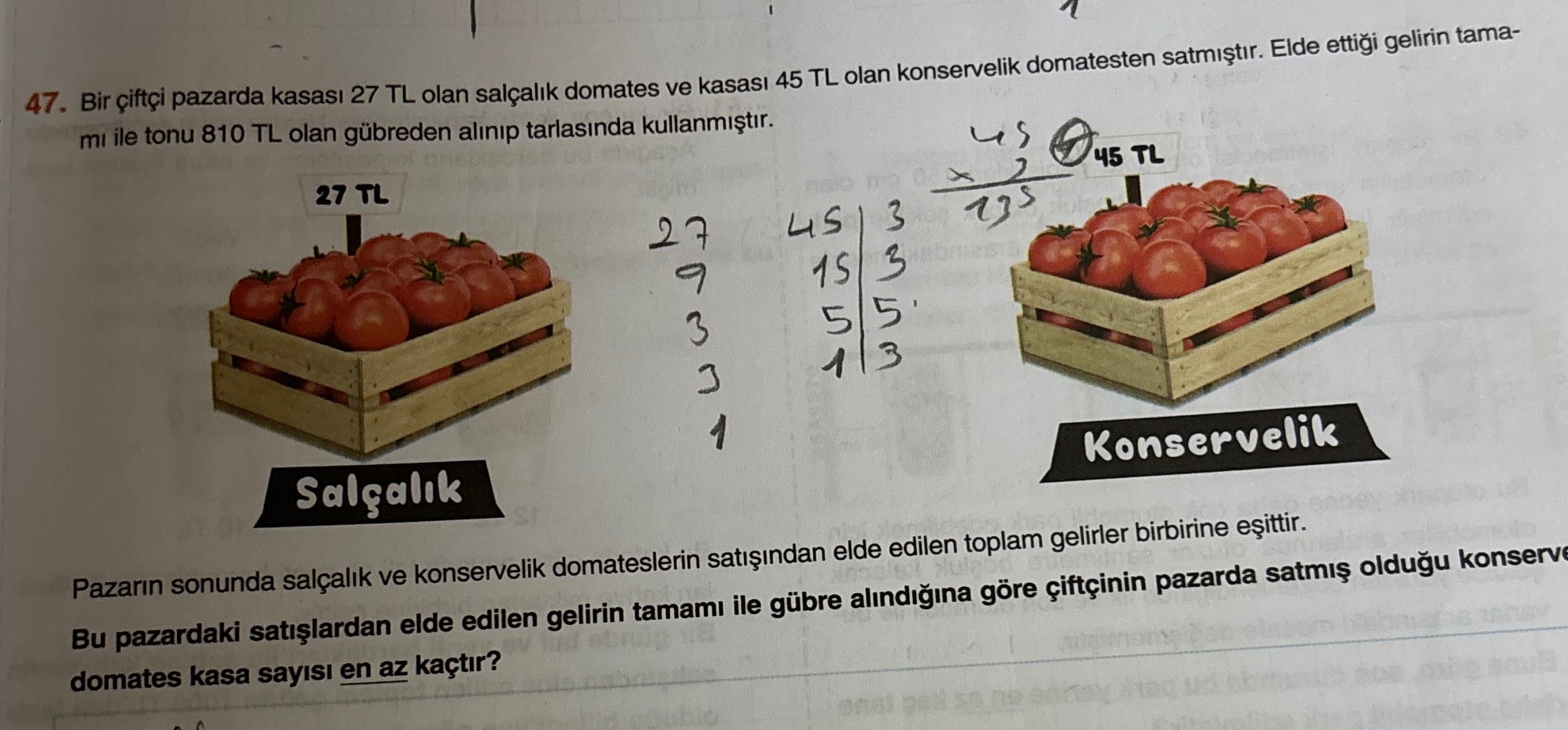 Matematik (8. Sınıf)