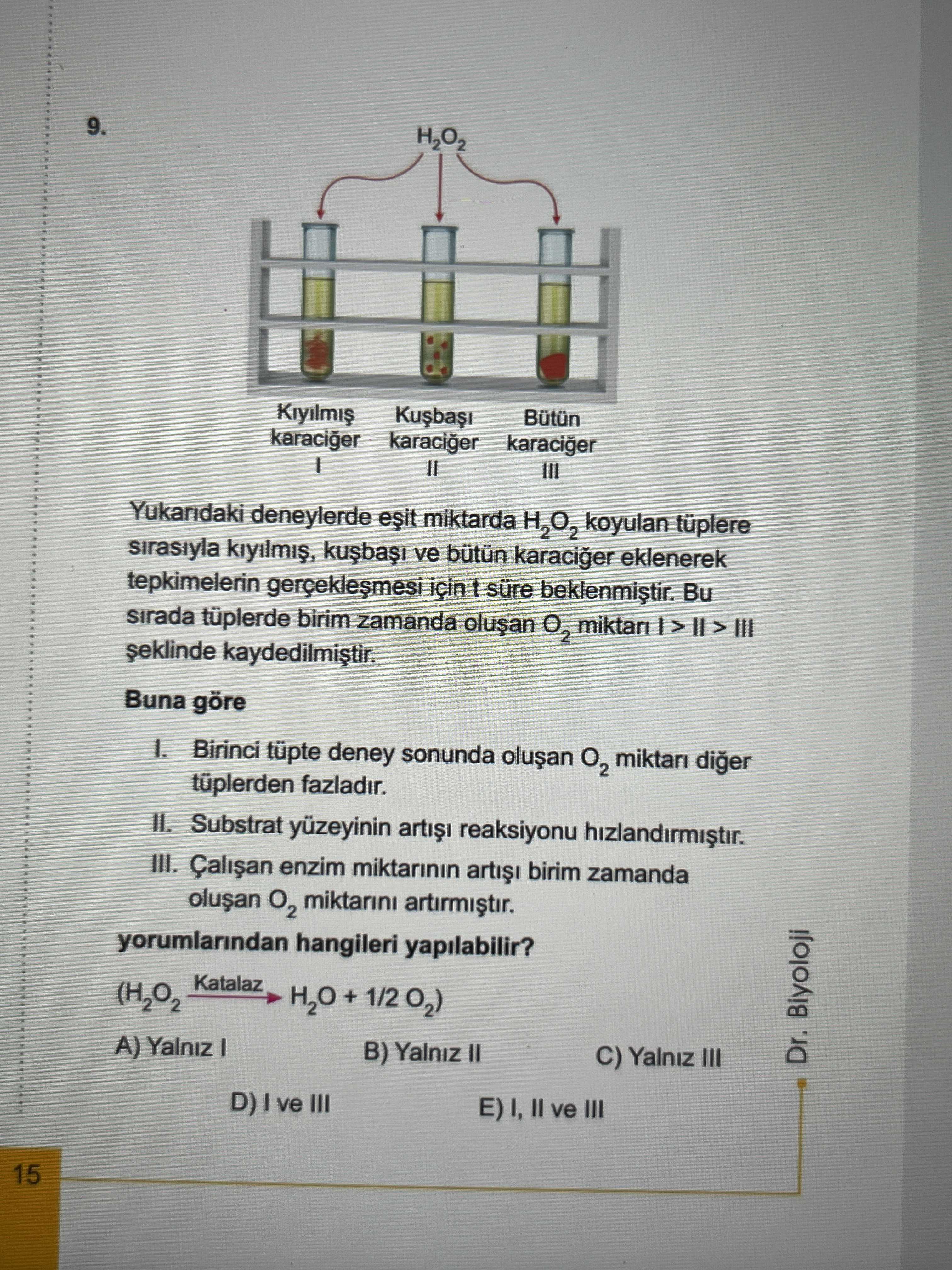 Biyoloji (12. Sınıf)