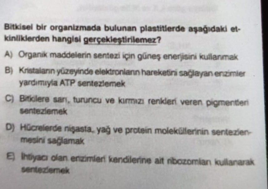 Bitkisel bir organizmada bulunan plastitlerde aşağıdaki etkinliklerden hangisi gerçekleştirilemez?