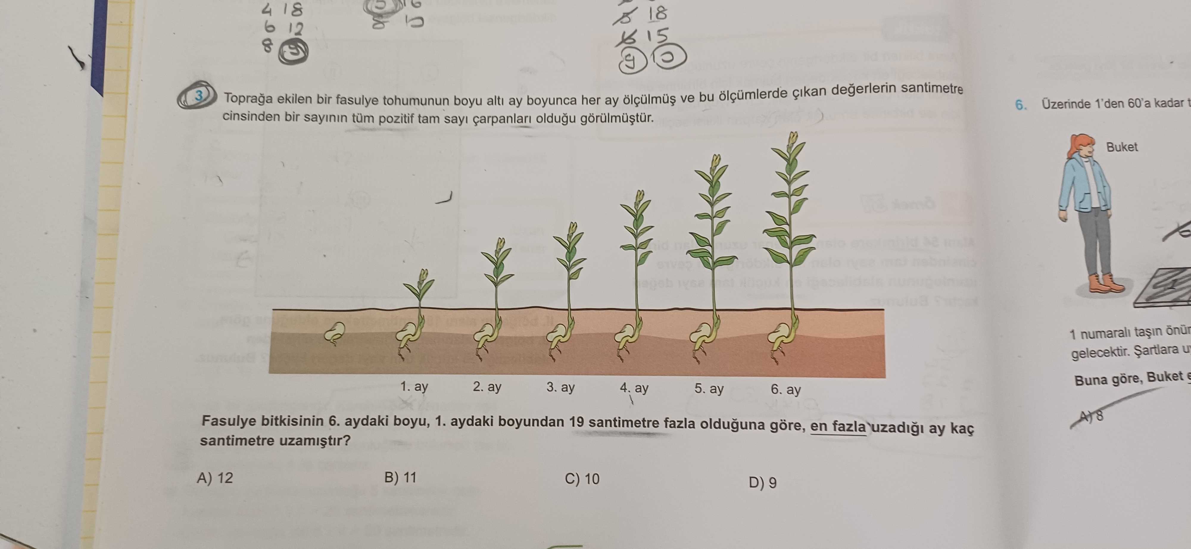 18 4 18 12 15 santimetre degerlerin 3 bu ölçümlerde cinsinden ekilen bir sayinin bir fasulye tüm pozitif tohumunun tam boyu alti ay boyunca oldugu ay her ve 1'den 60'a kadar t 6. Buket 1 numarali gelecektir. Buna göre, Buket 1. ay 2. ay 3. ay 4. ay 5. ay 6. ay Fasulye bitkisinin 6. aydaki boyu, 1. aydaki boyundan 19 santimetre fazla olduguna göre, en fazla ay santimetre B) 11 A) 12 C) 10 D) 9 18 4 18 12 15 santimetre degerlerin 3 bu ölçümlerde cinsinden ekilen bir sayinin bir fasulye tüm pozitif tohumunun tam boyu alti ay boyunca oldugu ay her ve 1'den 60'a kadar t 6. aydaki boyundan 19 santimetre fazla olduguna göre, en fazla ay santimetre B) 11 A) 12 C) 10 D) 9. ?? Model.Question.title