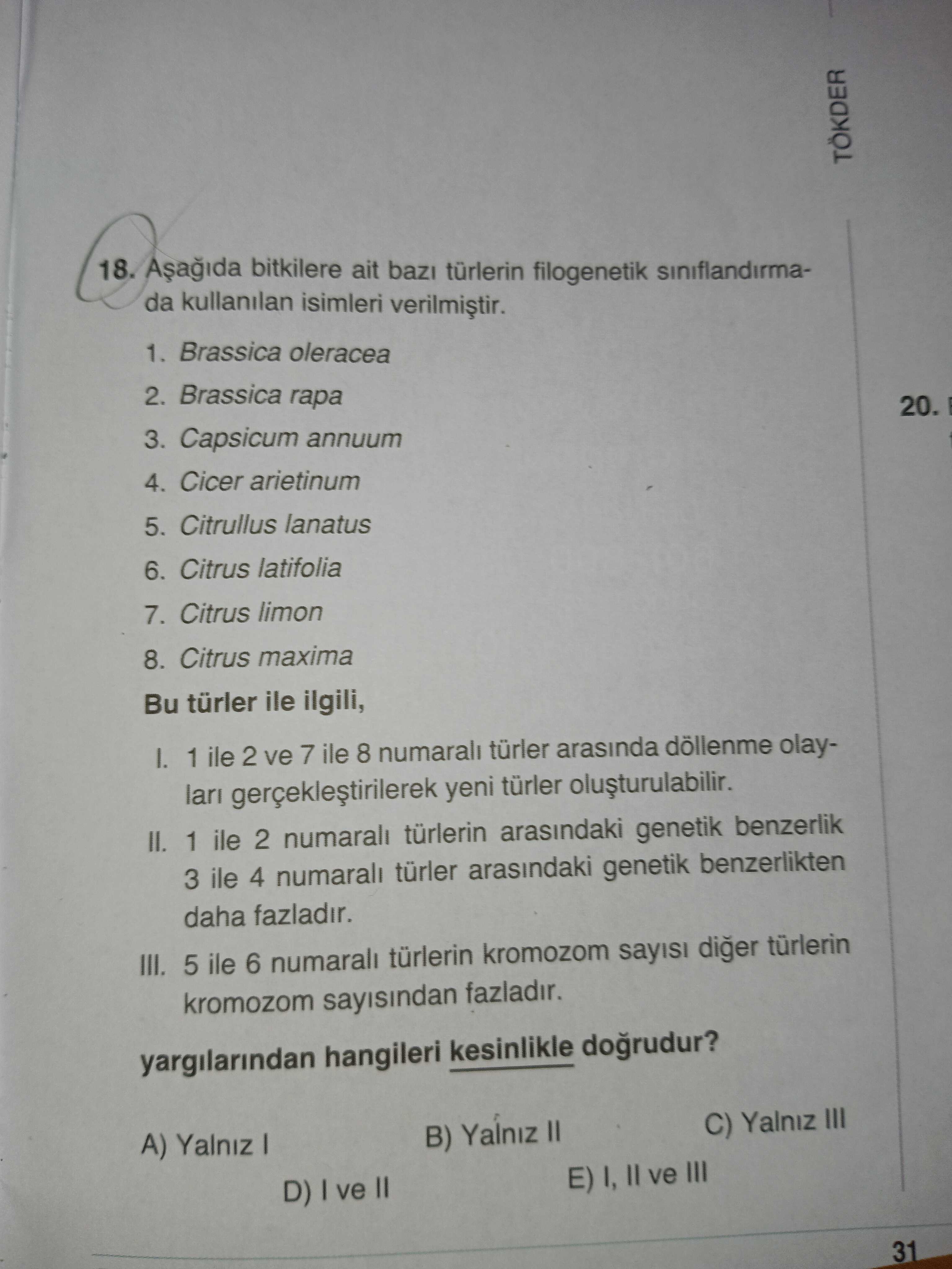 Aşağıda bitkilere ait bazı türlerin filogenetik sınıflandırmasında kullanılan isimleri verilmiştir