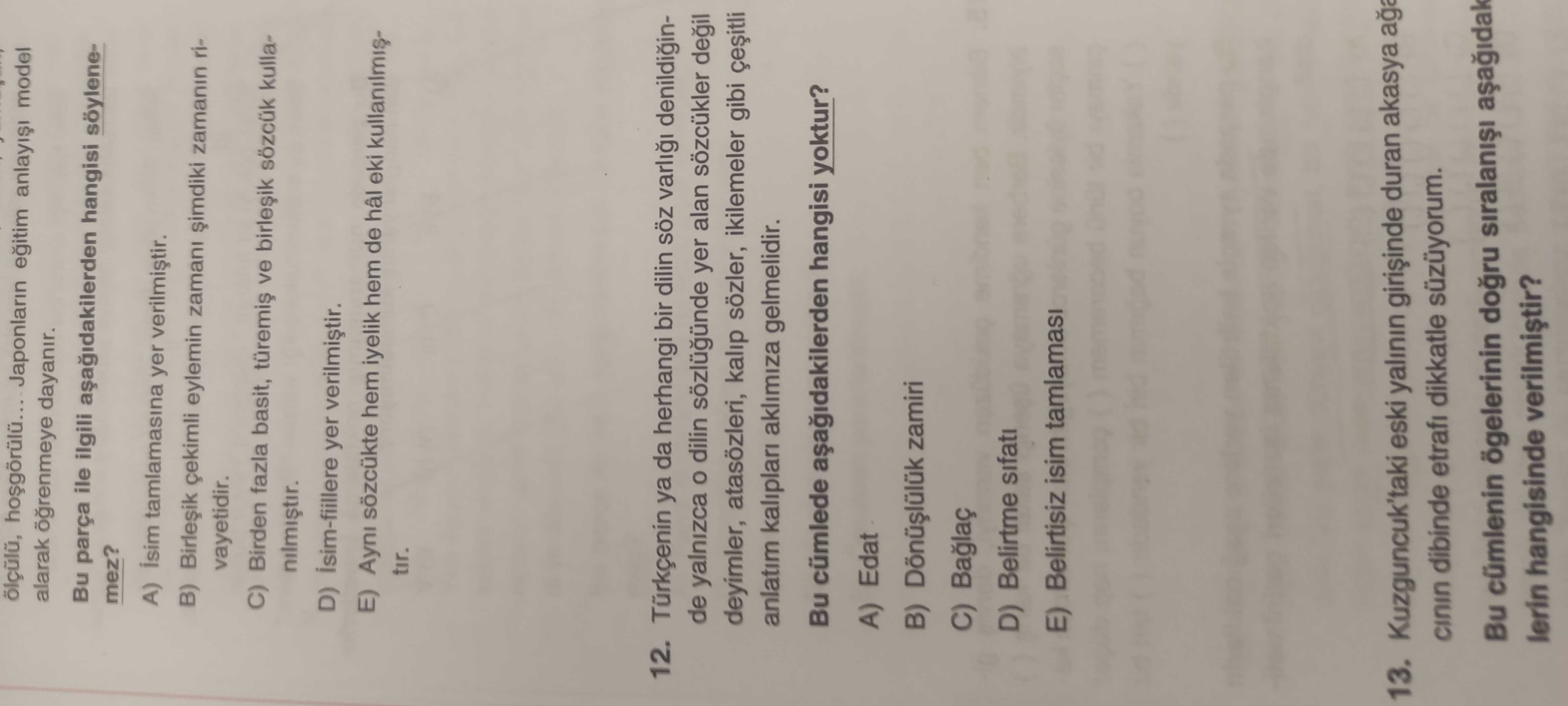 Türkçenin ya da herhangi bir dilin söz varlığı denildiğinde yalnızca o dilin sözlüğünde yer alan