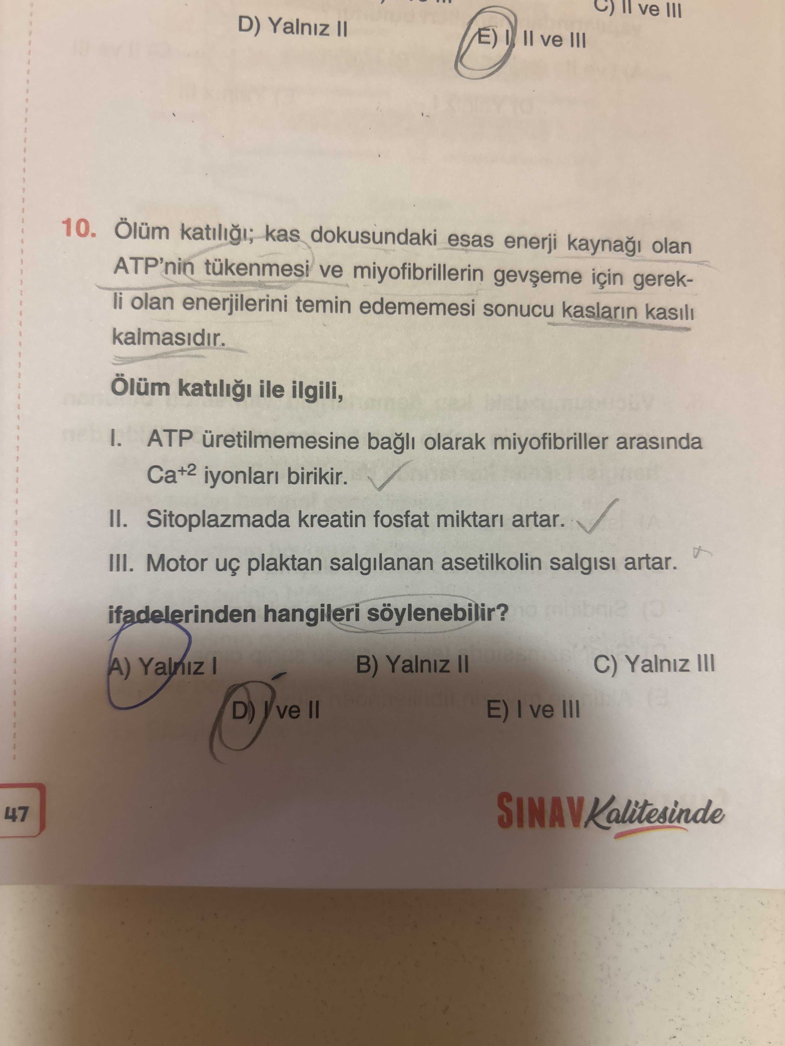 Ölüm katılığı; kas dokusundaki esas enerji kaynağı olan ATP'nin tükenmesi ve miyofibrillerin gevşeme