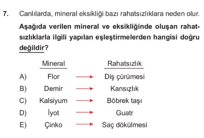 Biyoloji (12. Sınıf)