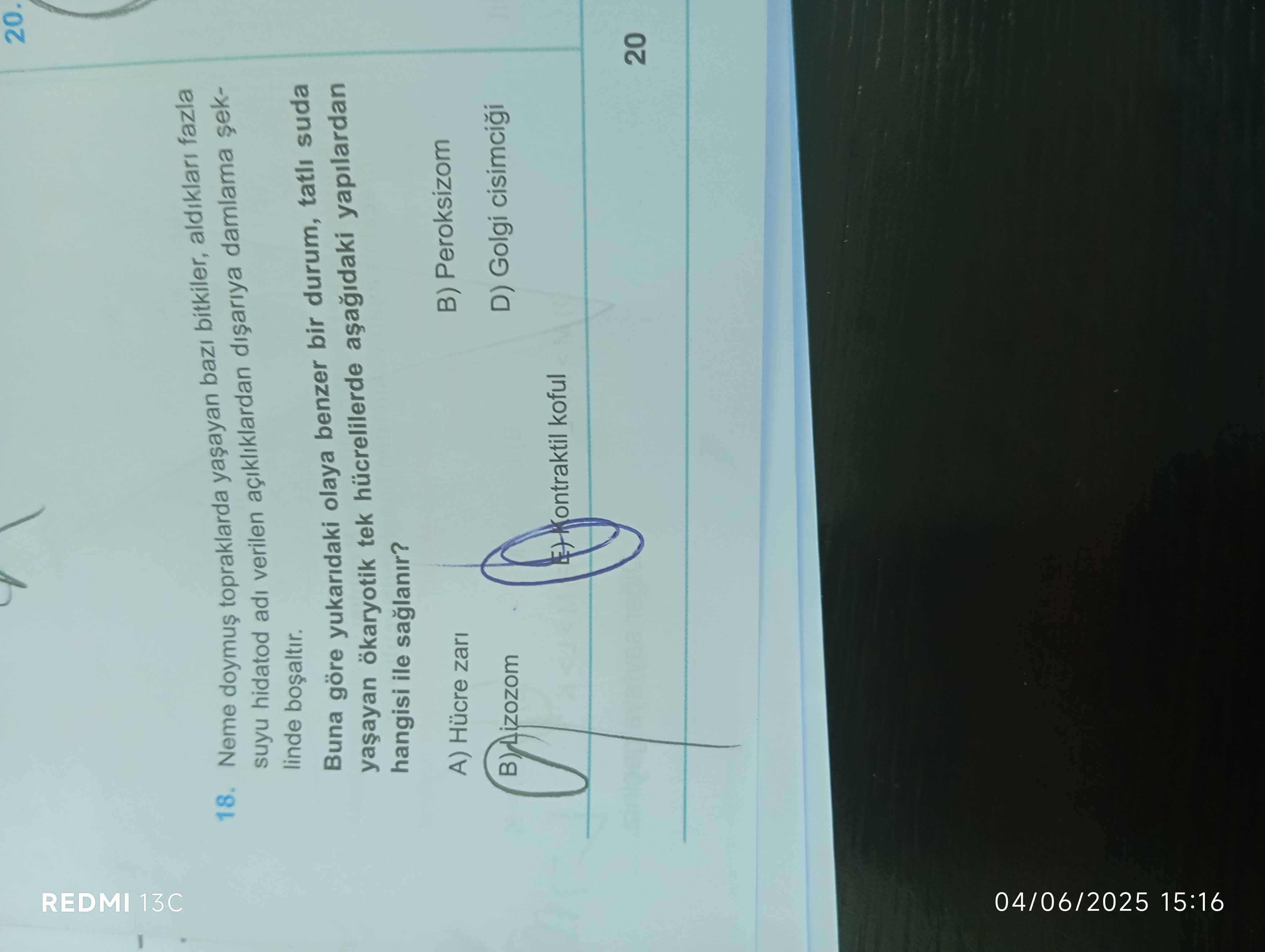 Neme doymuş topraklarda yaşayan bazı bitkiler, aldıkları fazla suyu hidatod adı verilenaçıklıklardan