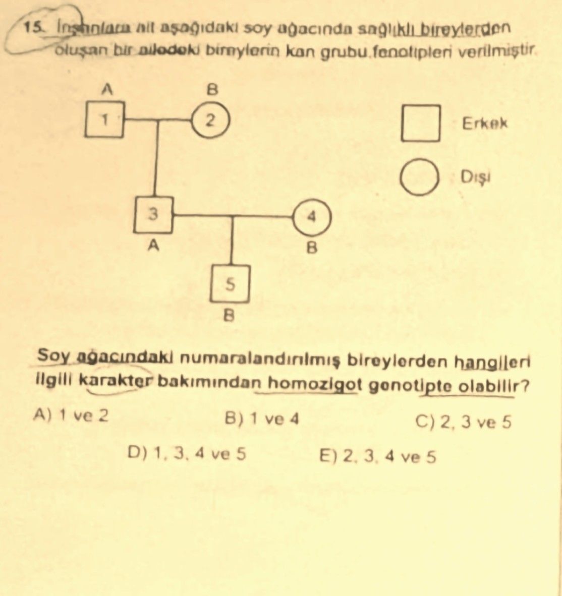 İnsanlara ait aşağıdaki soy ağacında sağlıklı bireylerden oluşan bir ailedeki bireylerin kan grubu