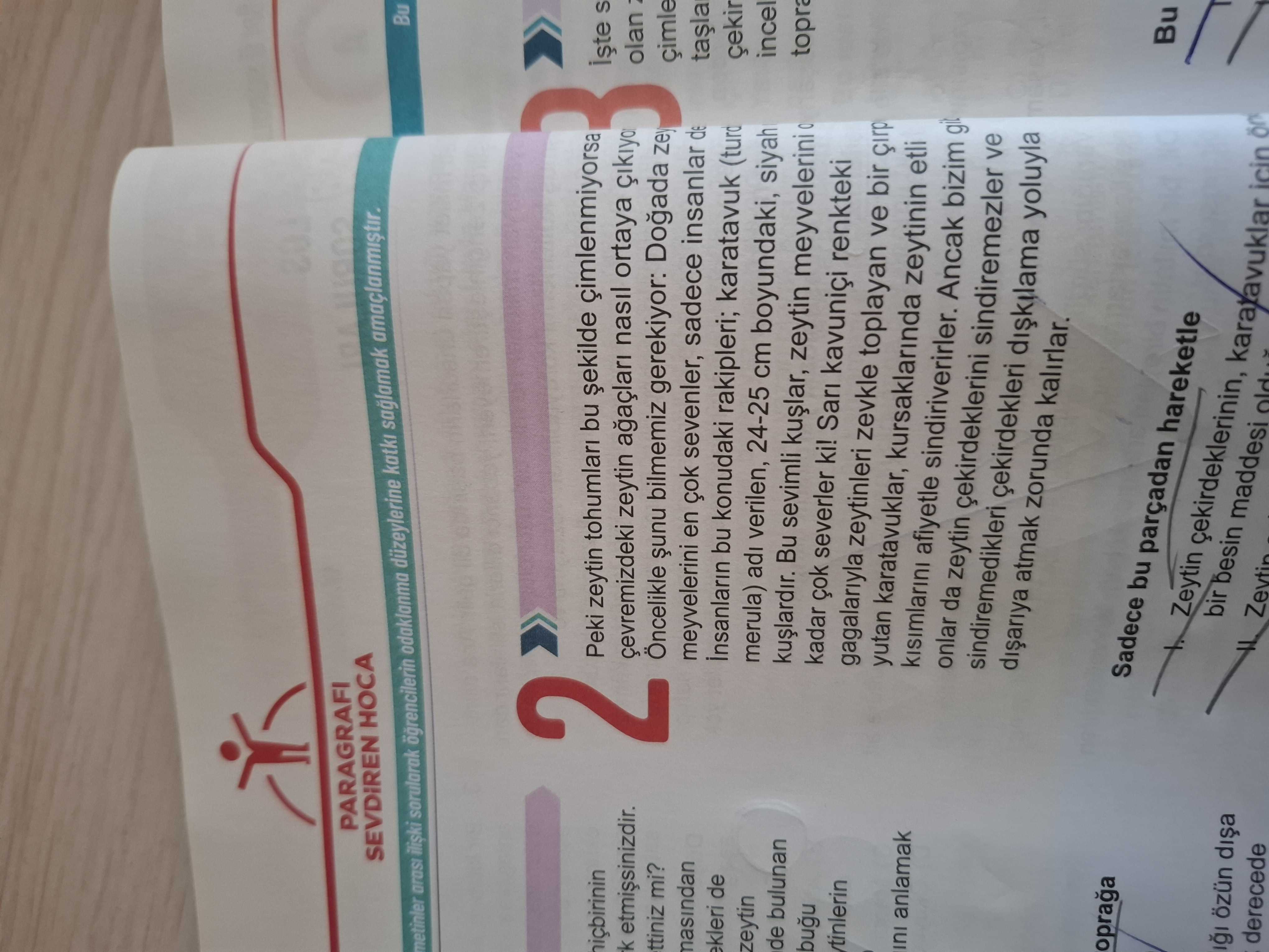 Toprağa atılan zeytin çekirdeklerinin hiçbirinin kendiliğinden çimlenmediğini belki fark etmişsinizdir.