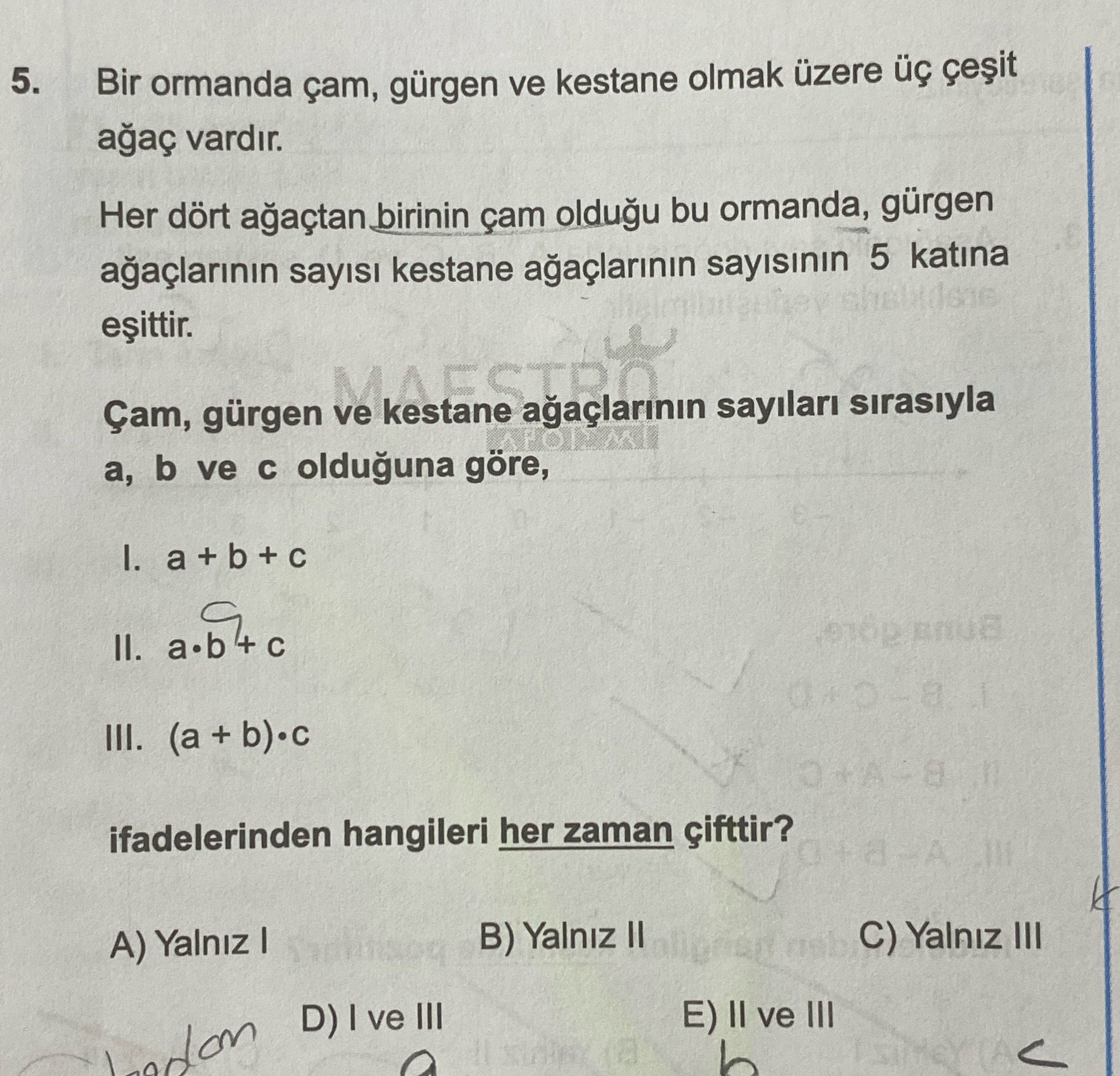 Matematik (12. Sınıf)