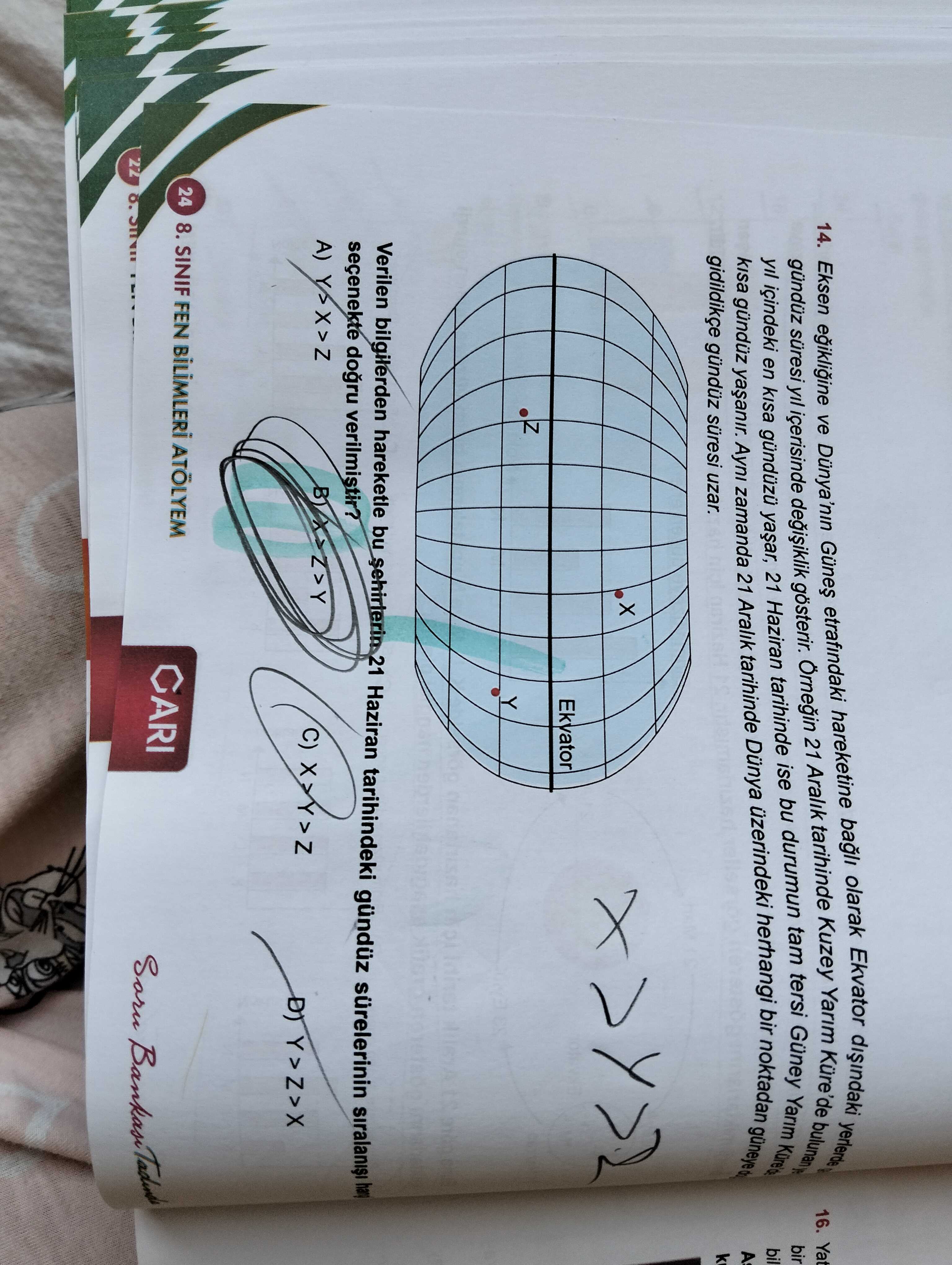 Fen Bilimleri (8. Sınıf)
