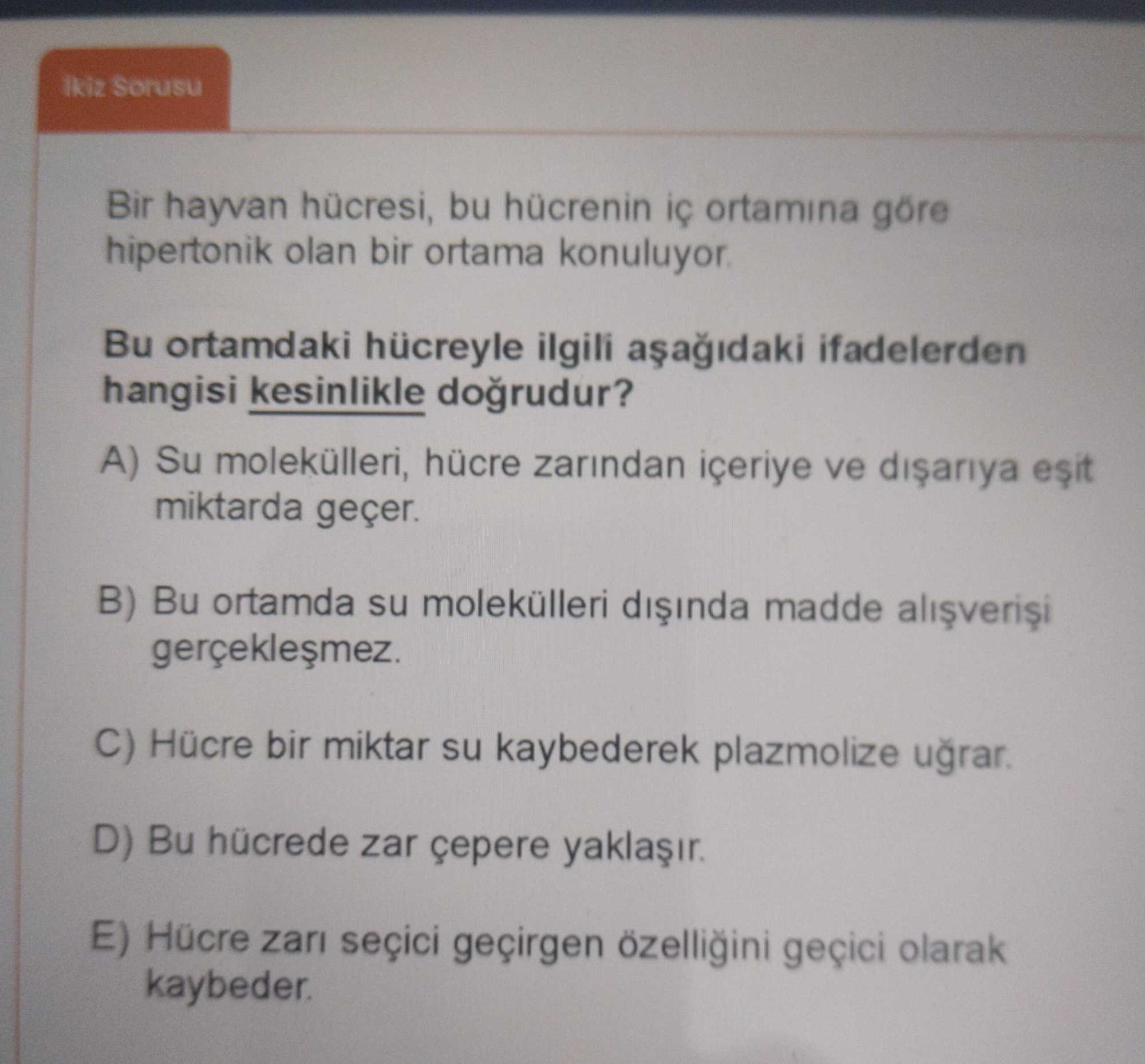 Bir hayvan hücresi, bu hücrenin iç ortamına göre hipertonik olan bir ortama konuluyor. Bu ortamdaki hücreyle ilgili aşağıdaki