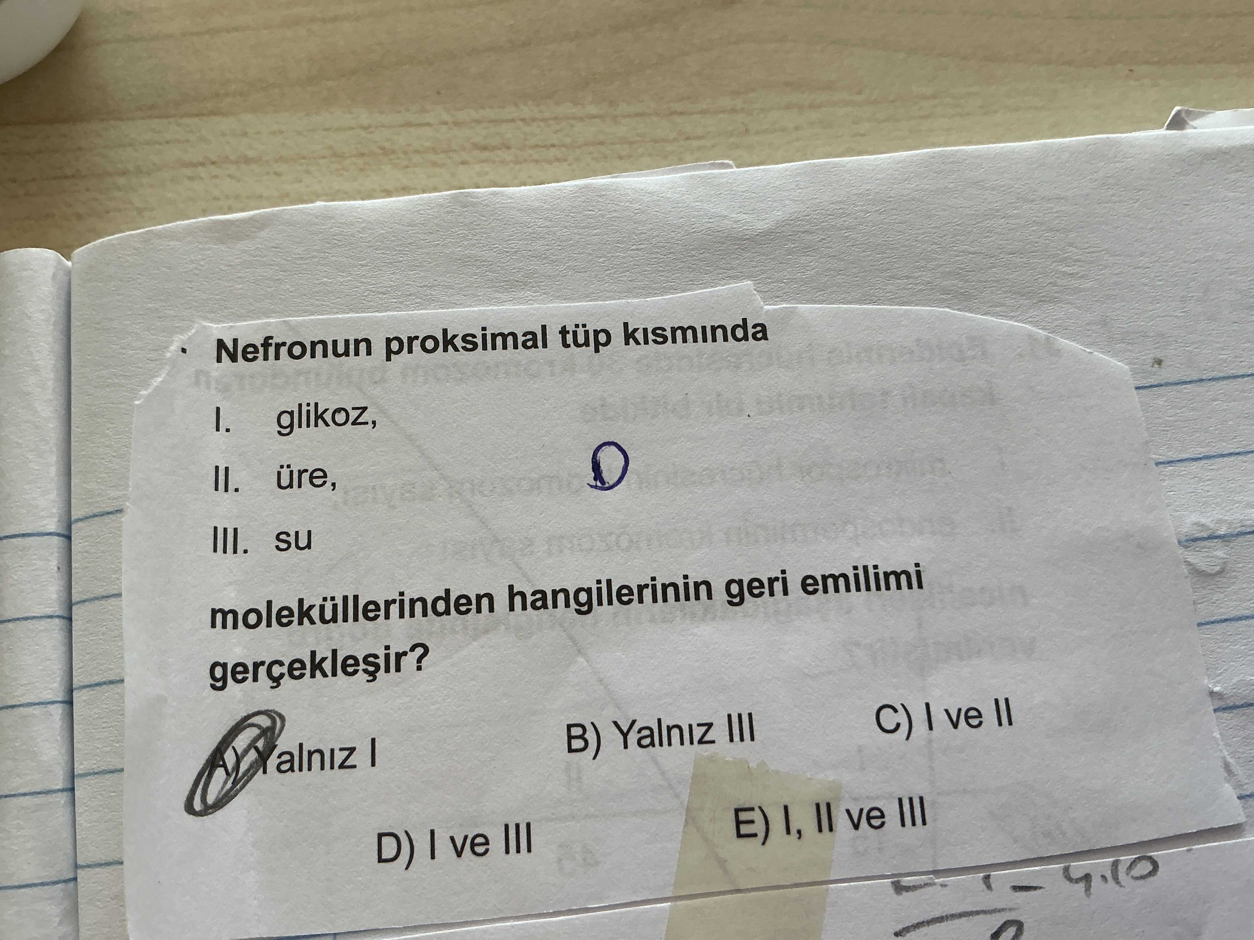 Nefronun proksimal tüp kısmında I. glikoz, II. üre, III. su moleküllerinden hangilerinin geri