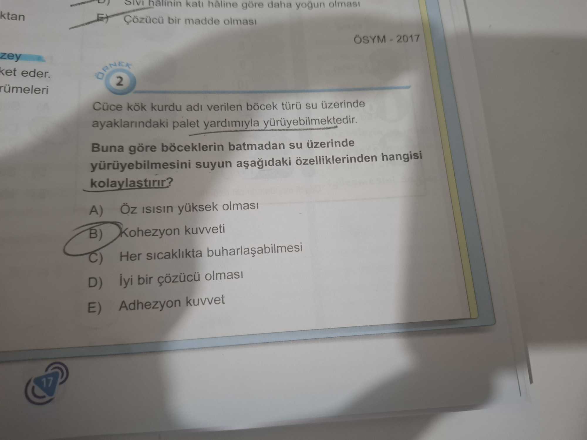 Cüce kök kurdu adı verilen böcek türü su üzerinde ayaklarındaki palet yardımıyla yürüyebilmektedir