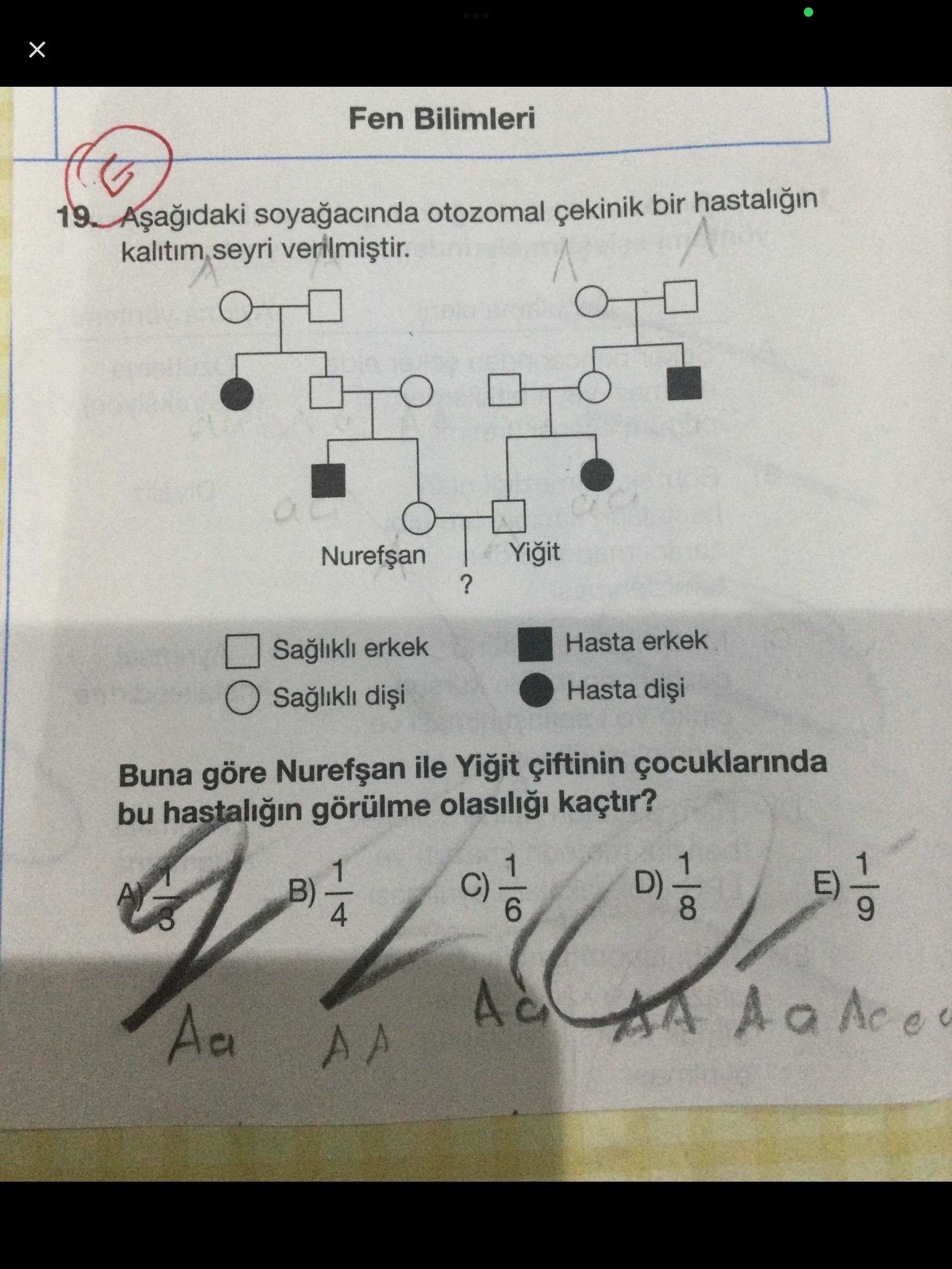 Aşağıdaki soyağacında otozomal çekinik bir hastalığın kalıtım seyri verilmiştir. Buna göre Nurefşan