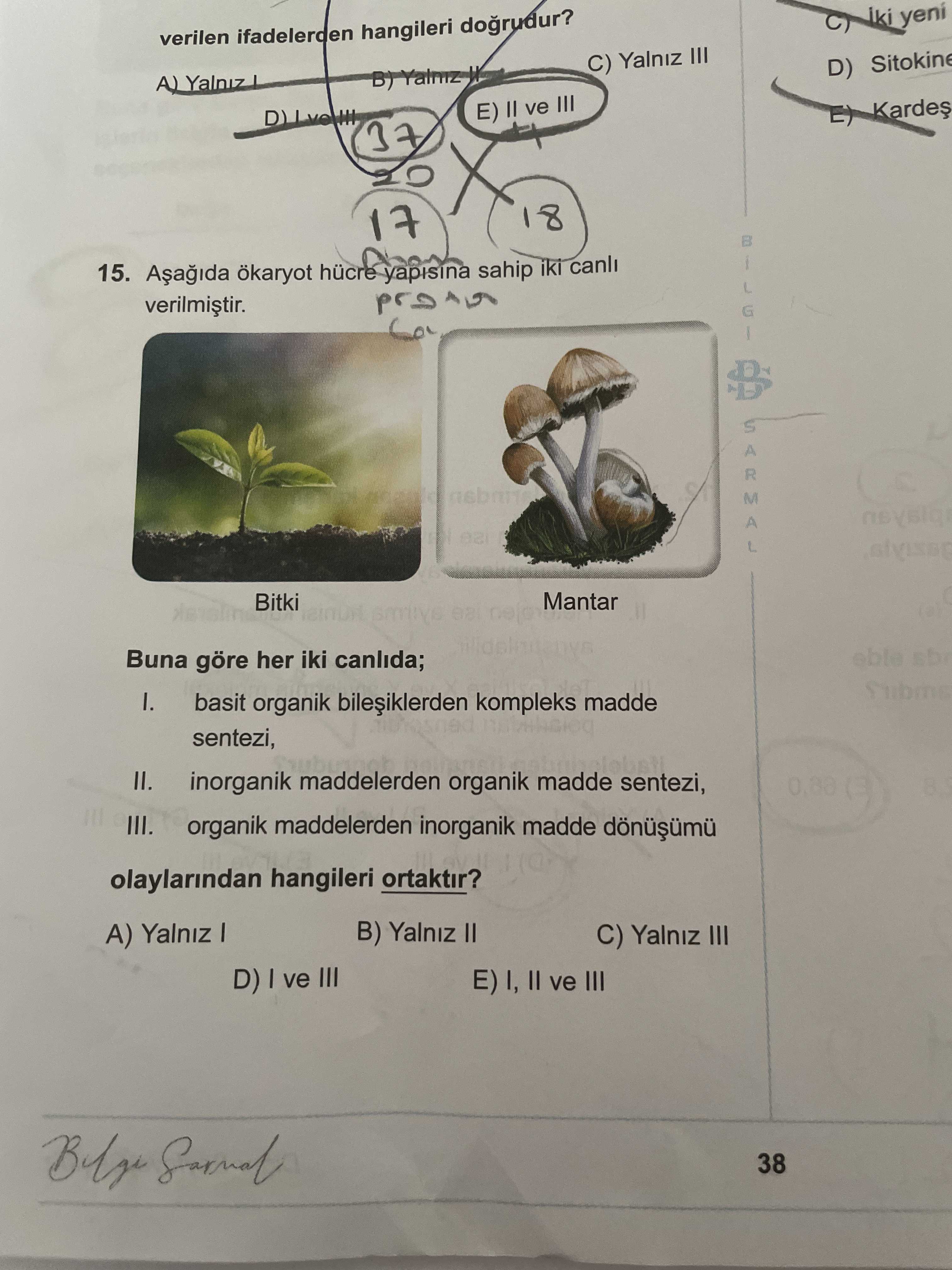 Aşağıda ökaryot hücre yapısına sahip iki canlı verilmiştir. Buna göre her iki canlıda; I. basit