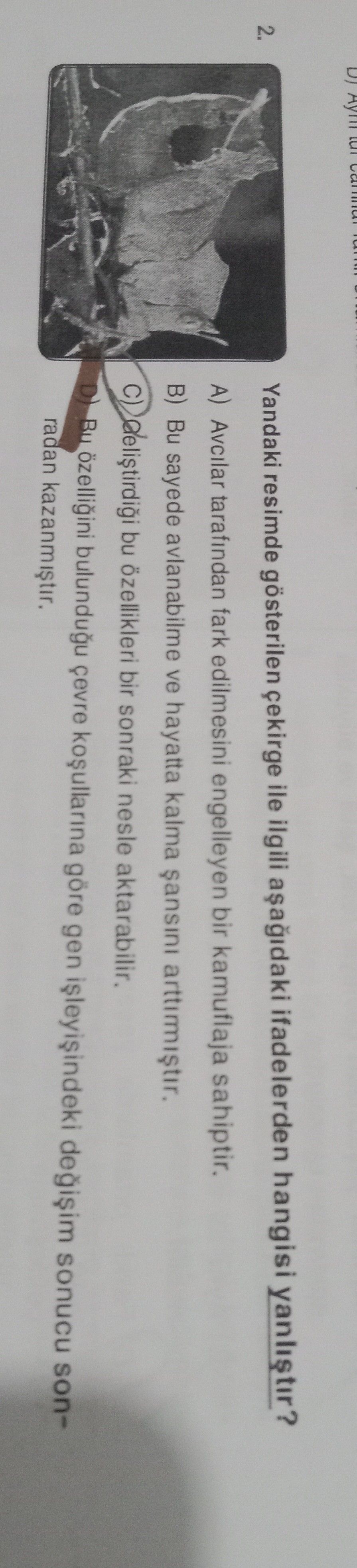 Yandaki resimde gösterilen canlıya ait aşağıdaki ifadelerden hangisi yanlıştır?