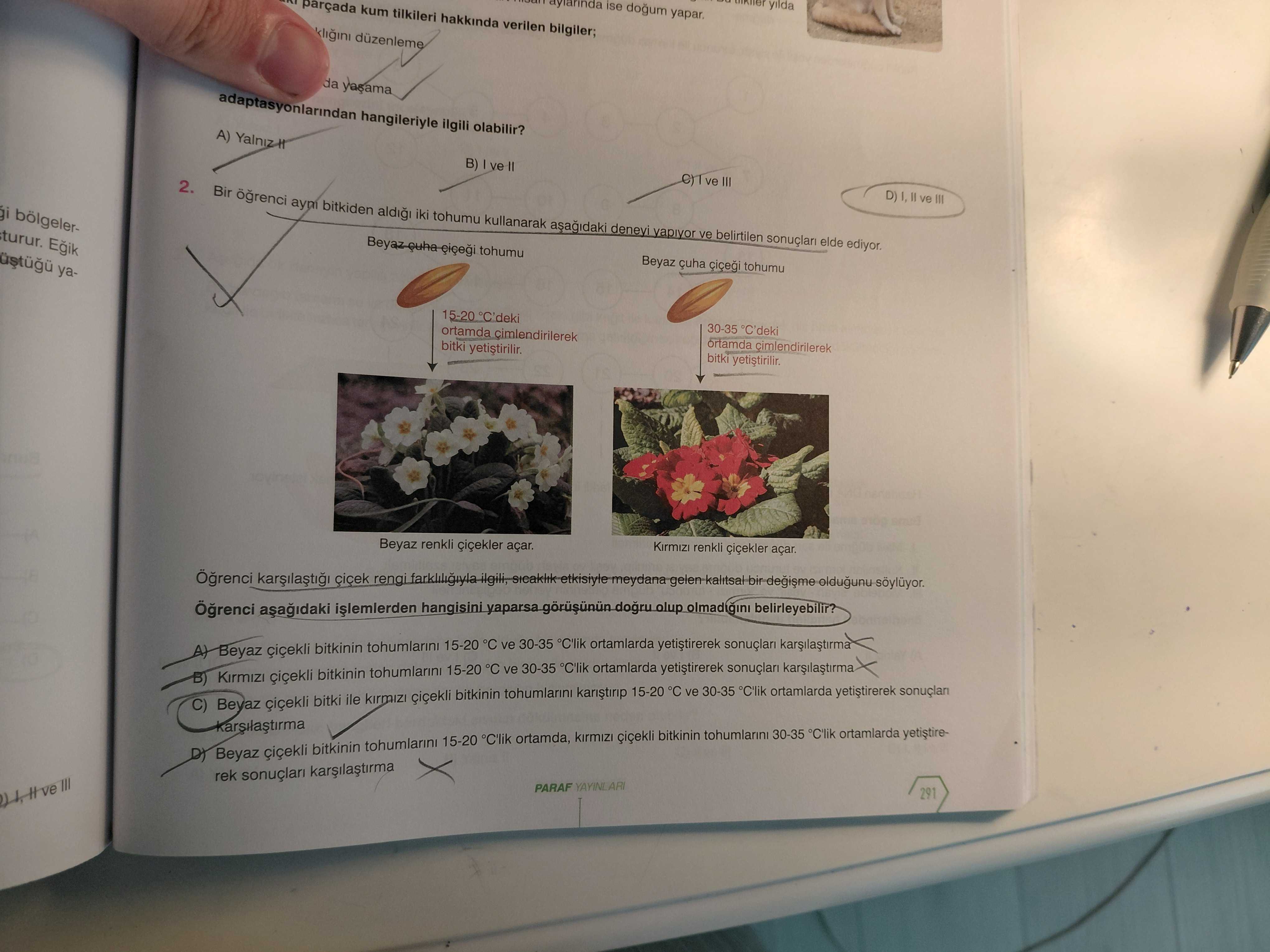 Bir öğrenci aynı bitkiden aldığı iki tohumu kullanarak aşağıdaki deneyi yapıyor ve belirtilen